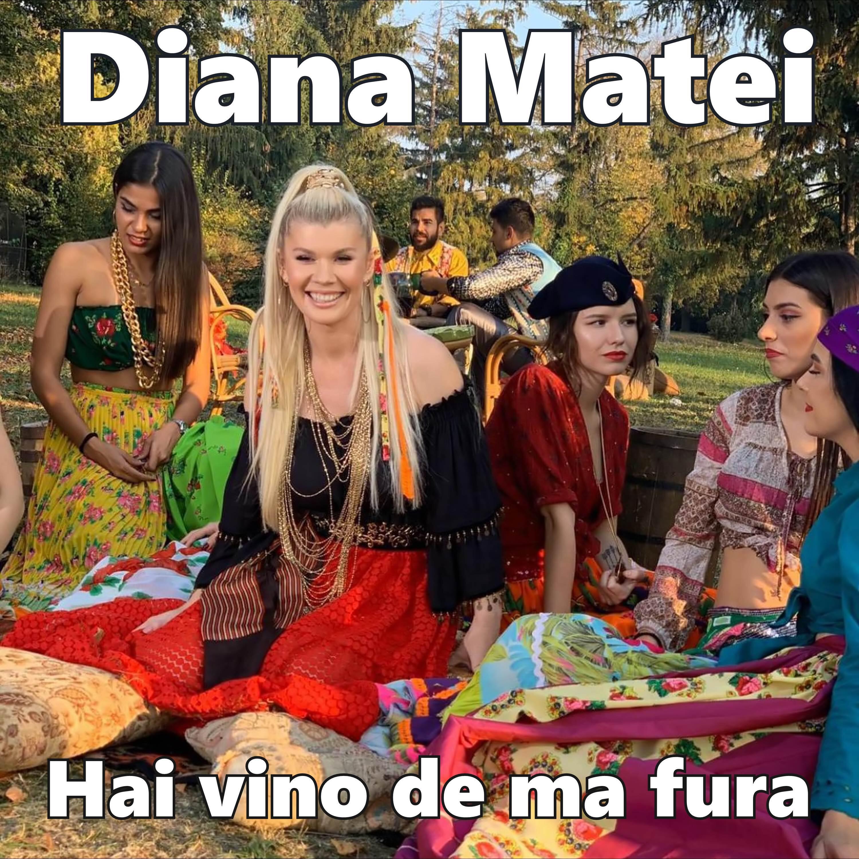 Альбом Hai vino de ma fura исполнителя Diana Matei
