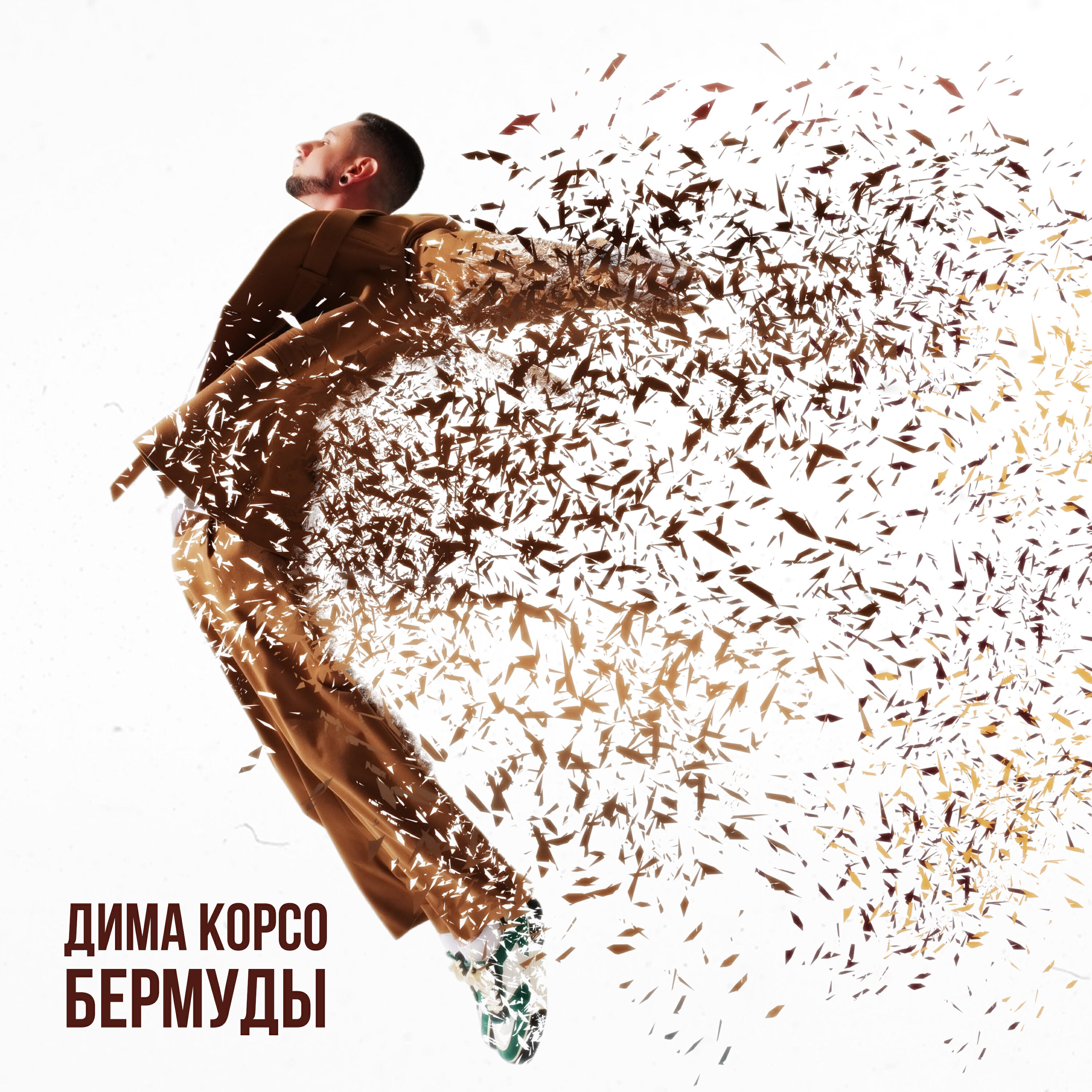 Бермуды