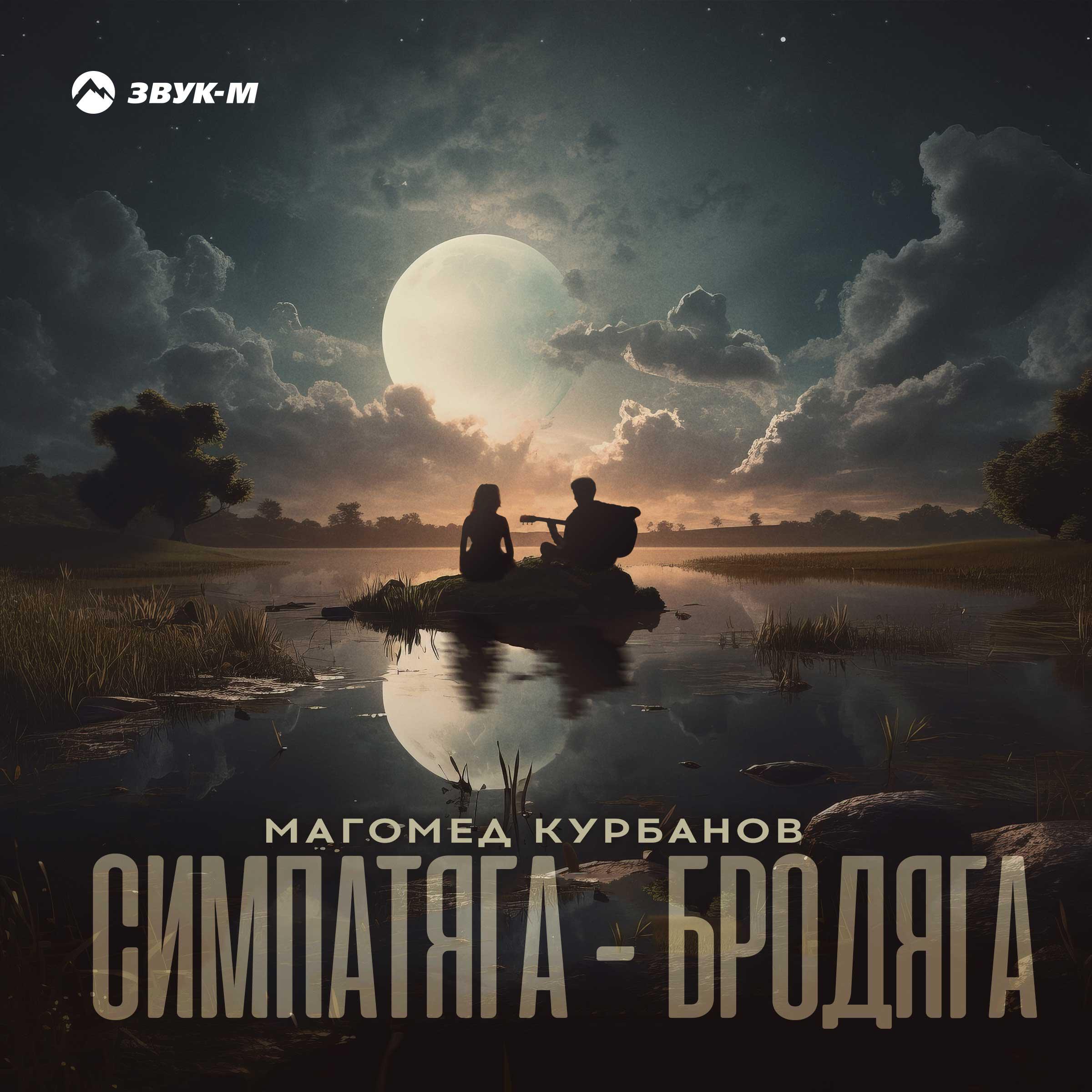 Симпатяга-бродяга
