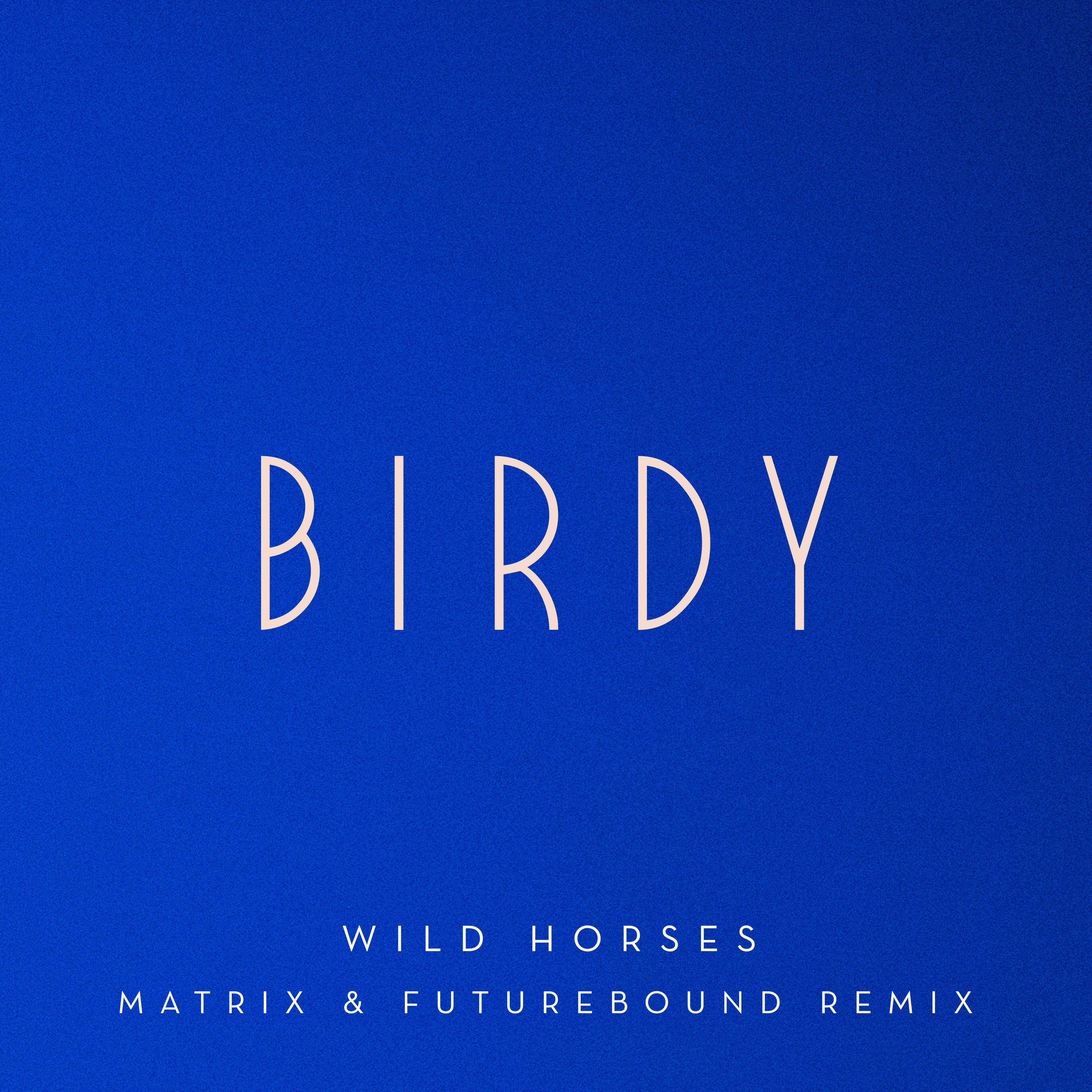 Альбом Wild Horses (Matrix & Futurebound Remix) [Extended] исполнителя Birdy