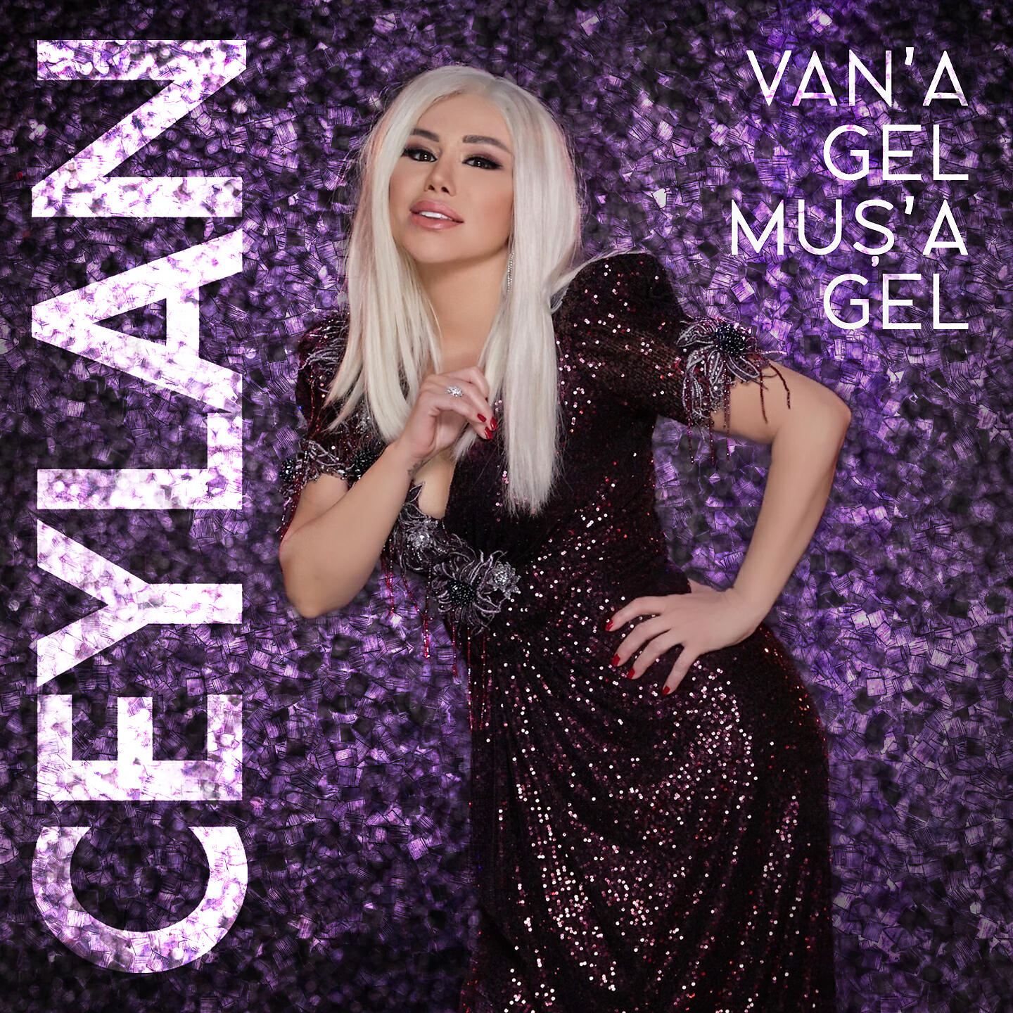 Альбом Van'a Gel Muş'a Gel исполнителя Ceylan