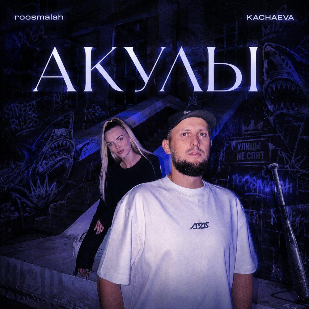 Альбом Акулы исполнителя roosmalah, KACHAEVA