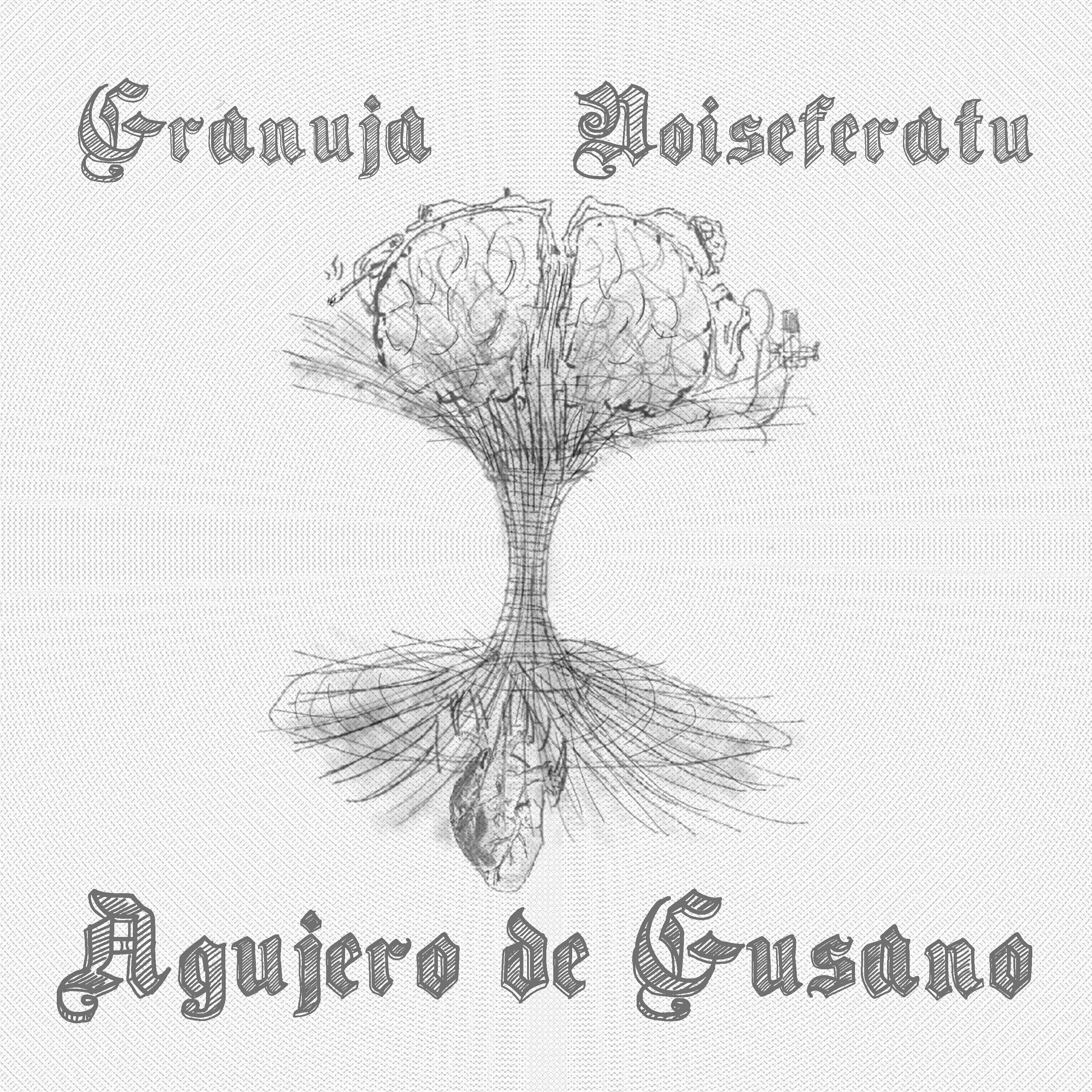 Agujero de Gusano
