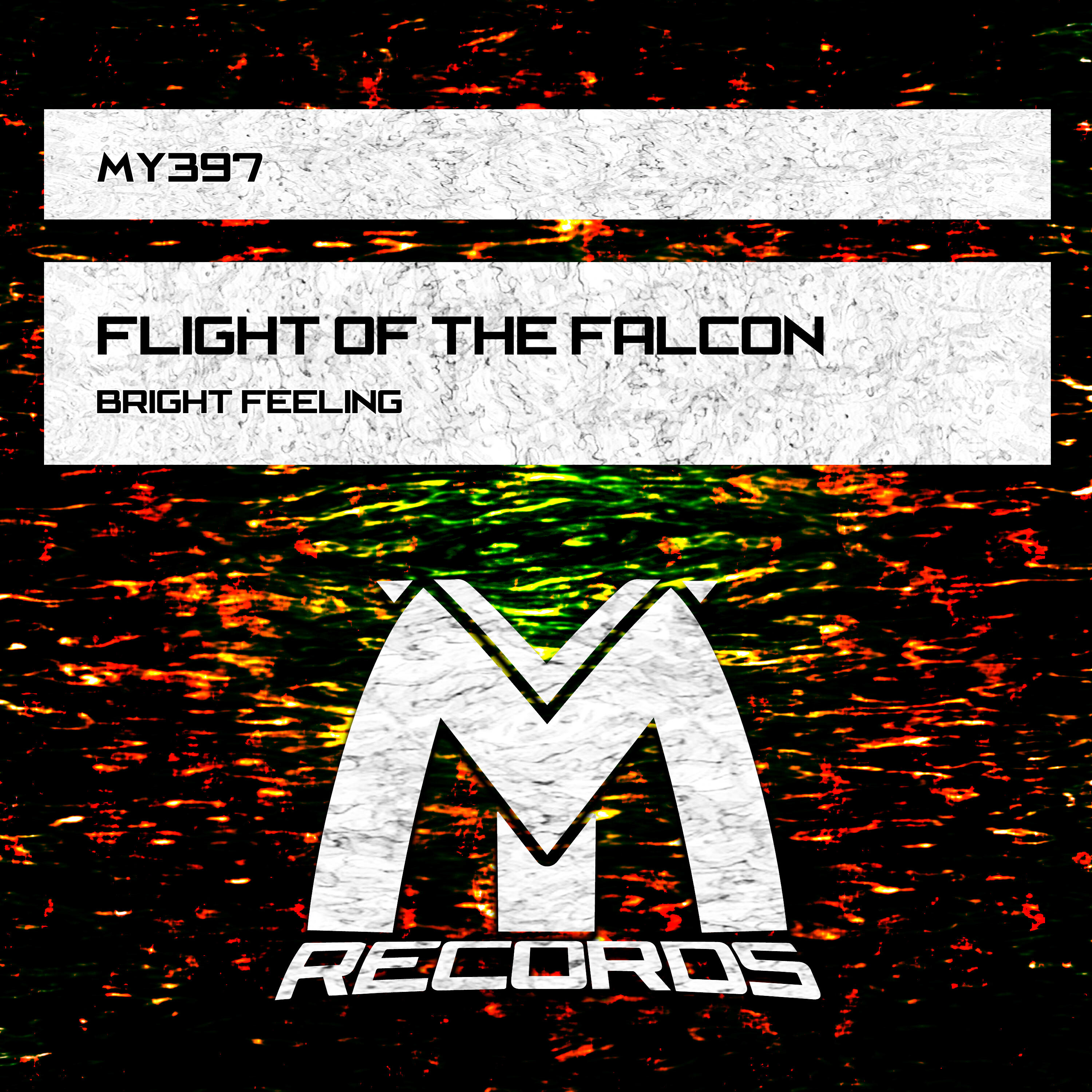 Flight of the Falcon