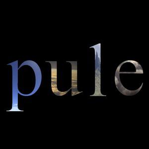 Pule