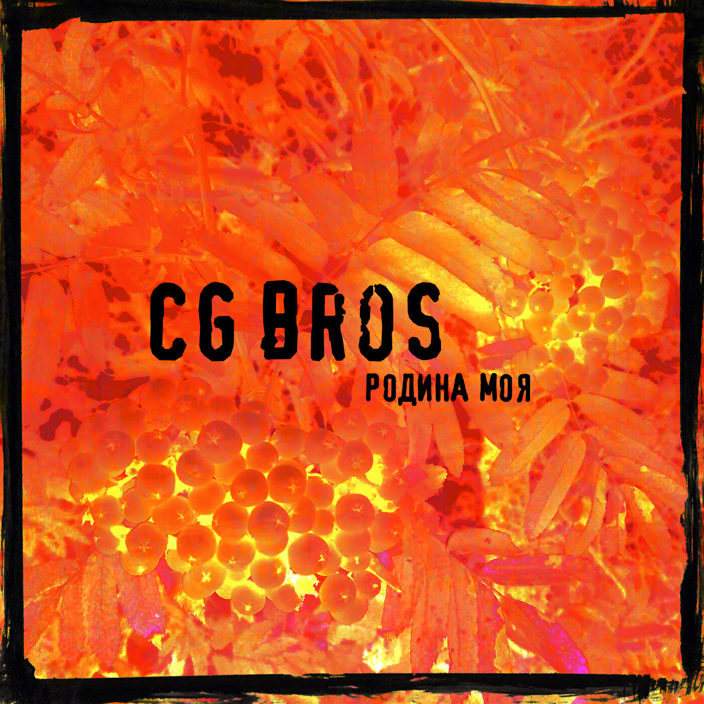 Альбом Родина моя исполнителя CG Bros