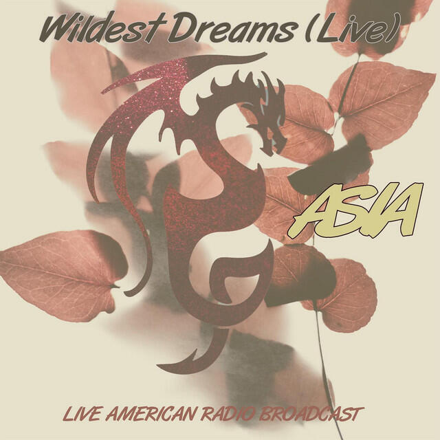 Wildest Dreams - Live American Radio Broadcast