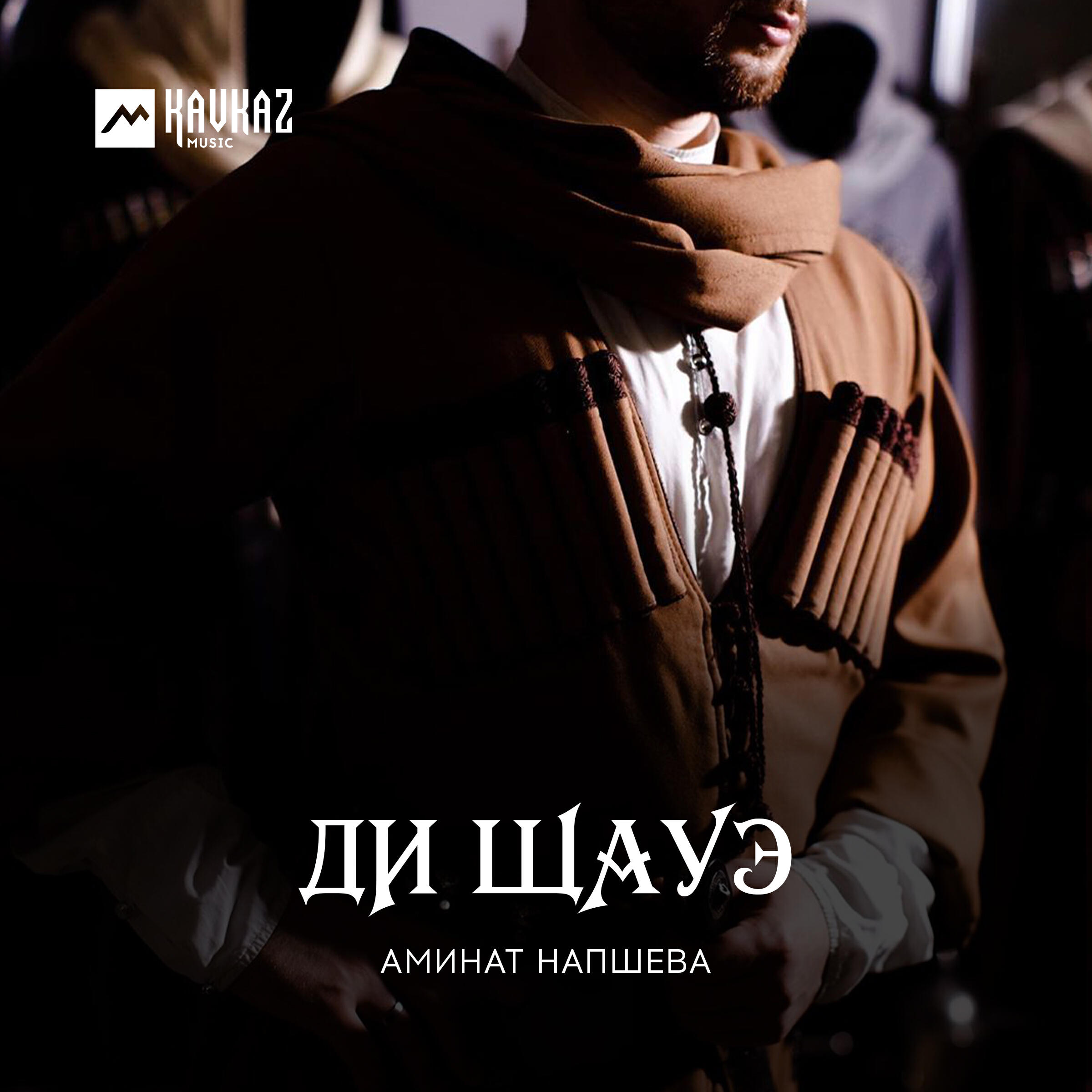 Альбом Ди щауэ исполнителя Аминат Напшева