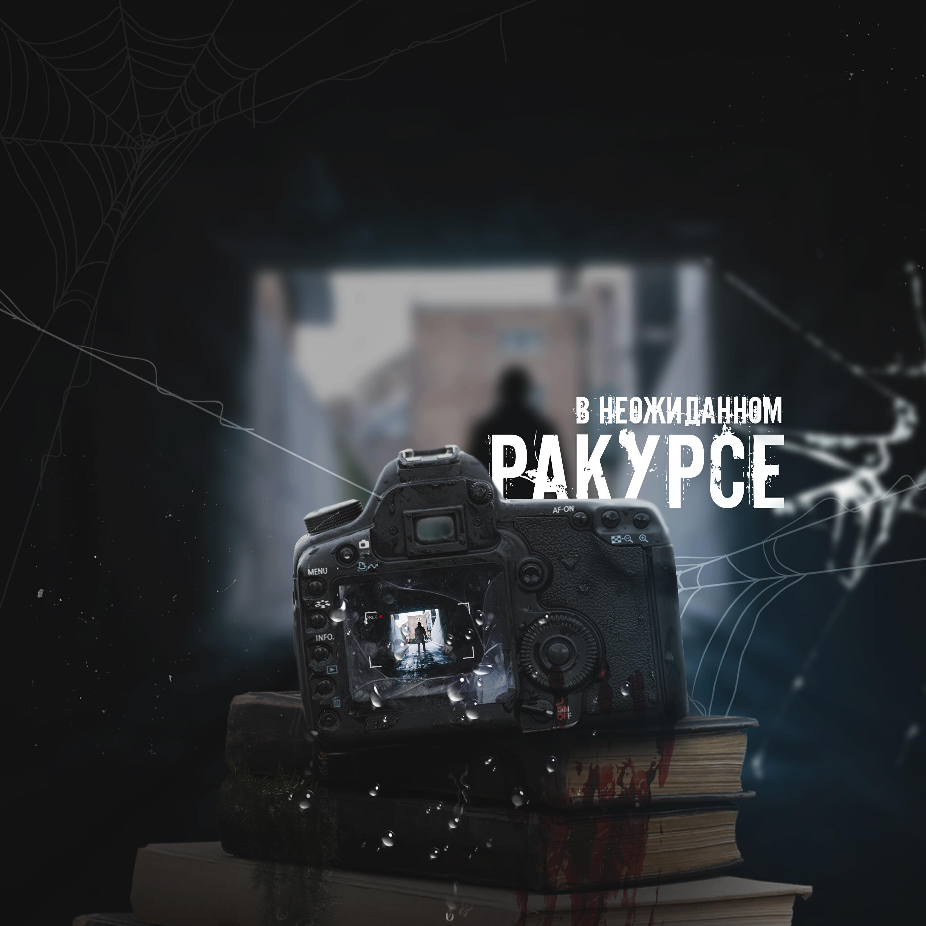 В неожиданном ракурсе
