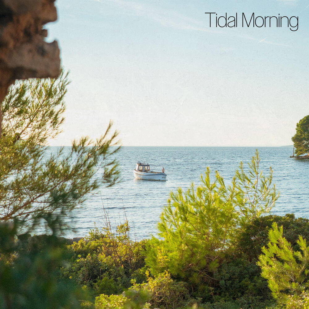 Tidal Morning