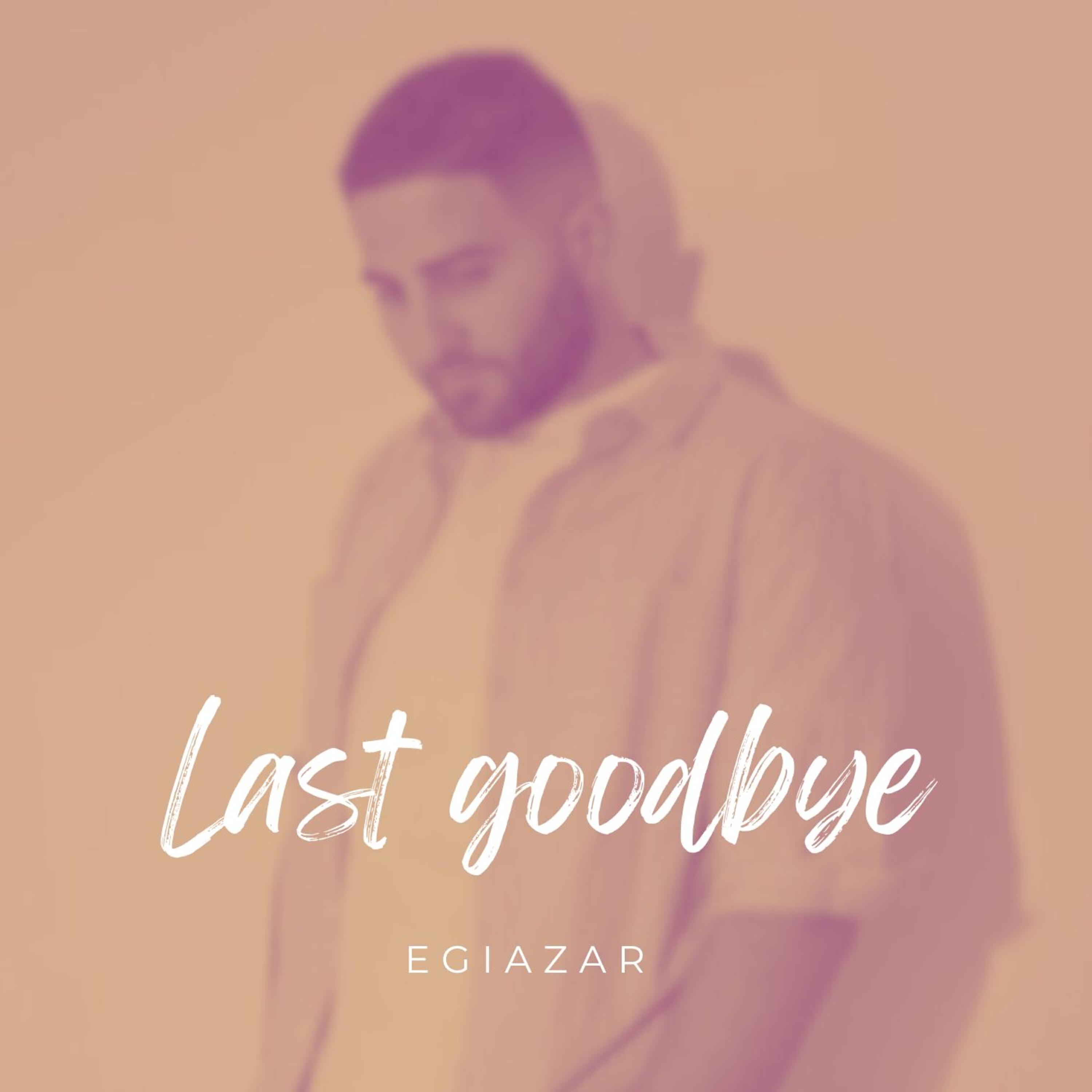 The Last Goodbye