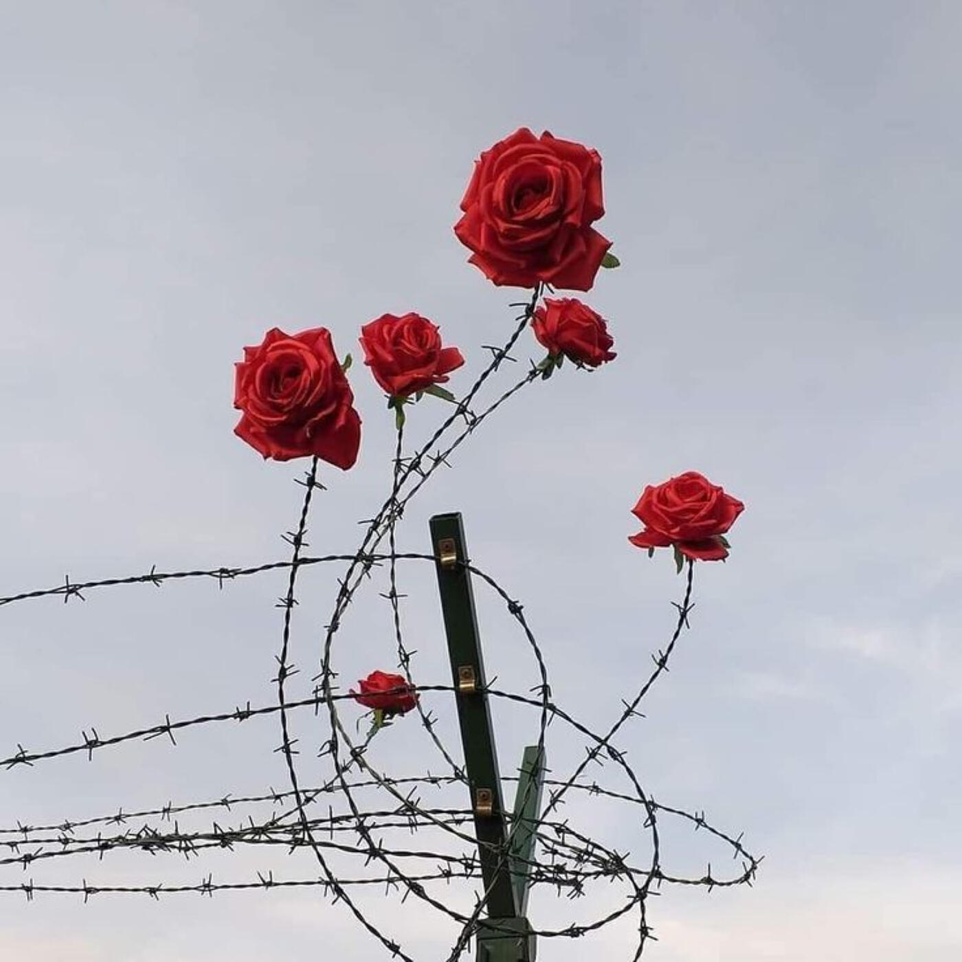 Альбом Be My Rosa исполнителя Axile
