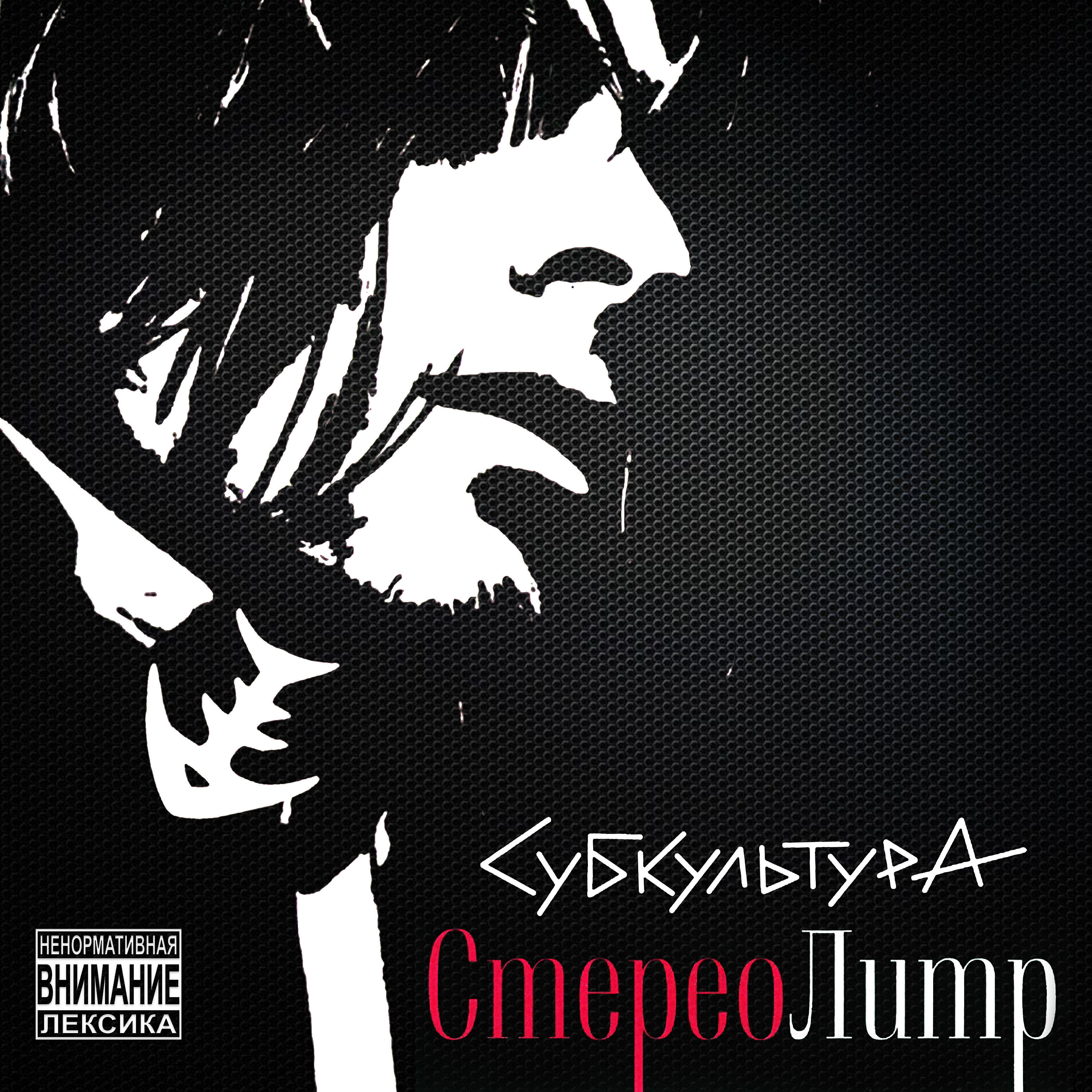 Стереолитр