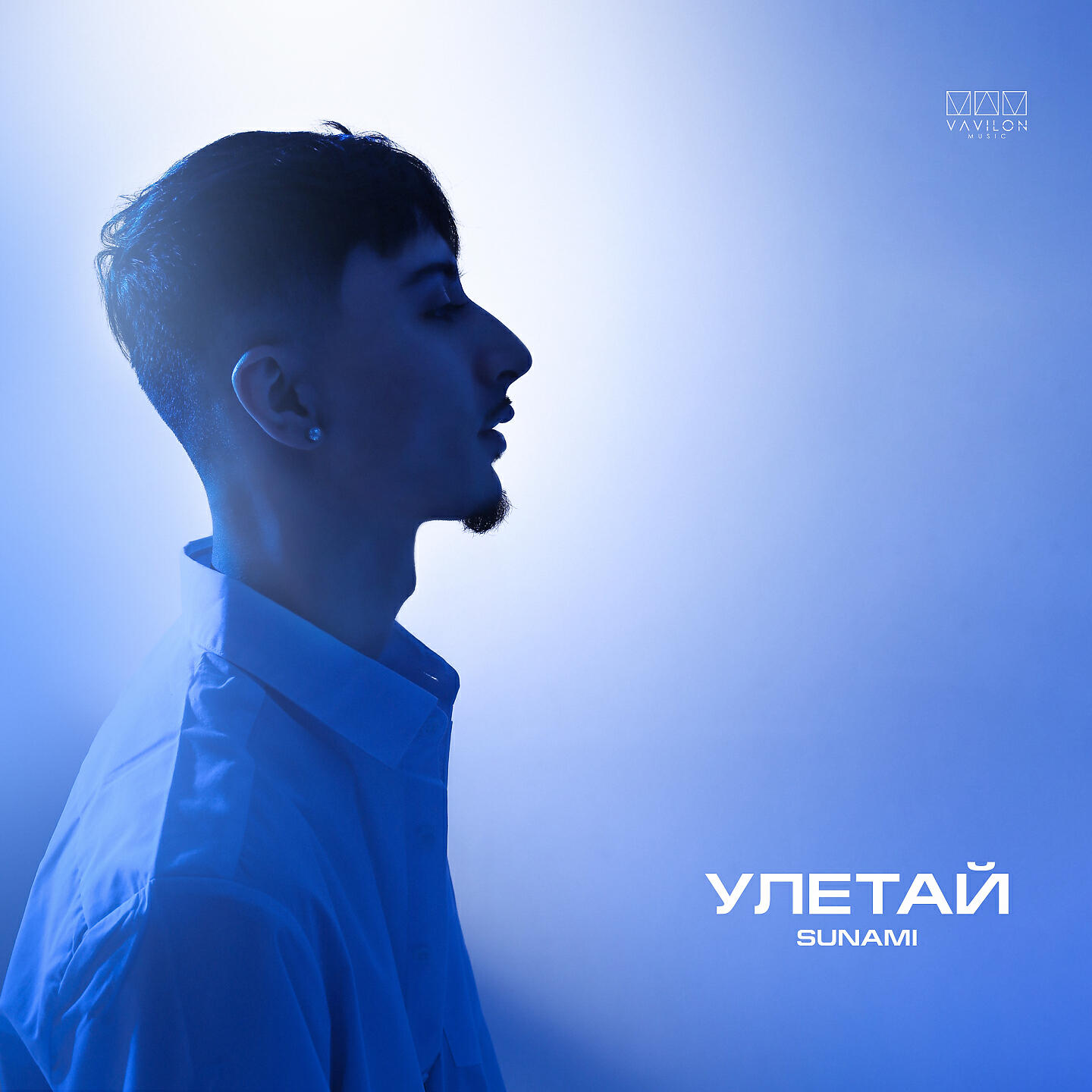 Альбом Улетай исполнителя Sunami