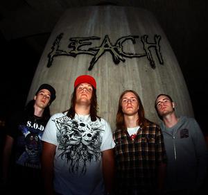 Leach
