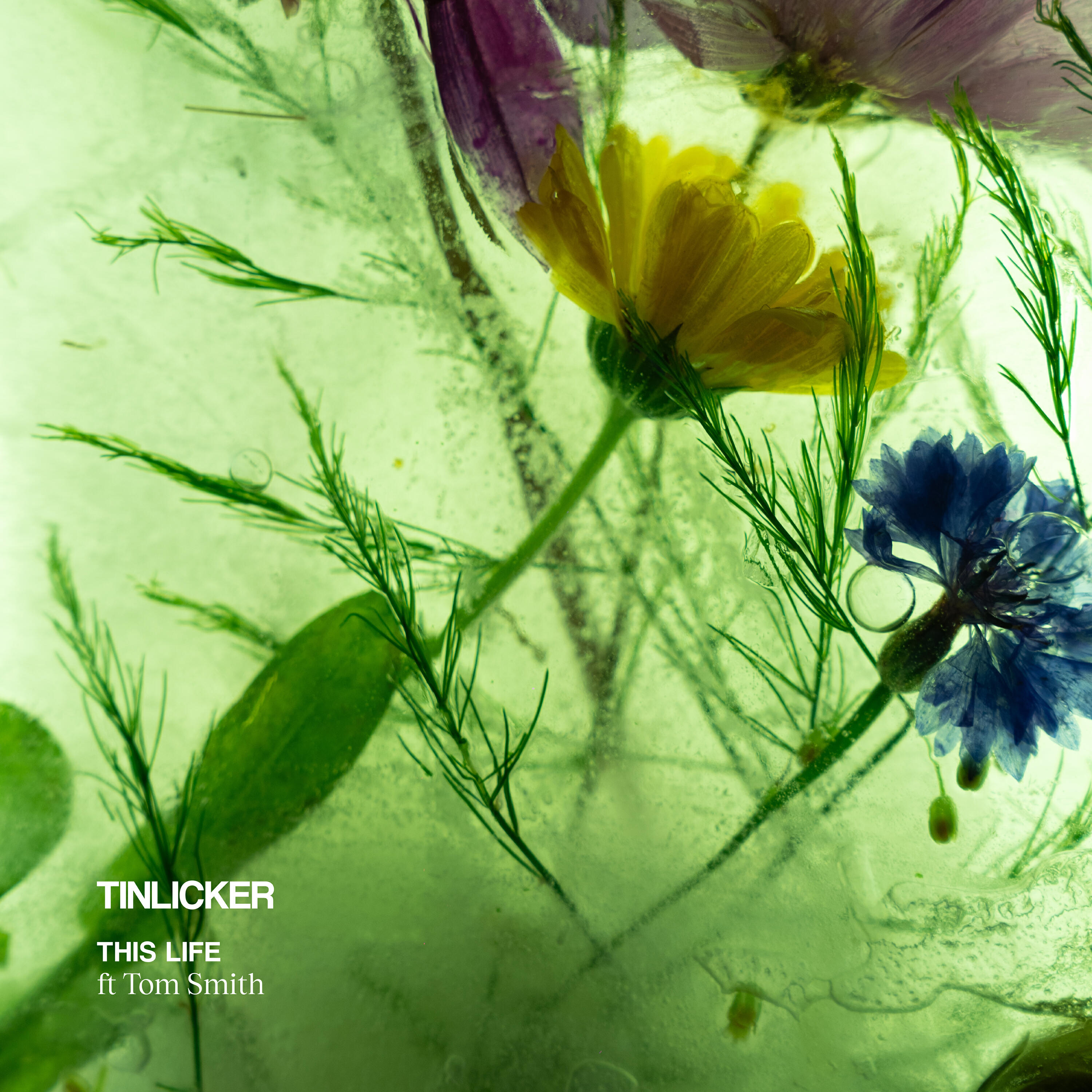 Альбом This Life (feat. Tom Smith) исполнителя Tinlicker, Tom Smith