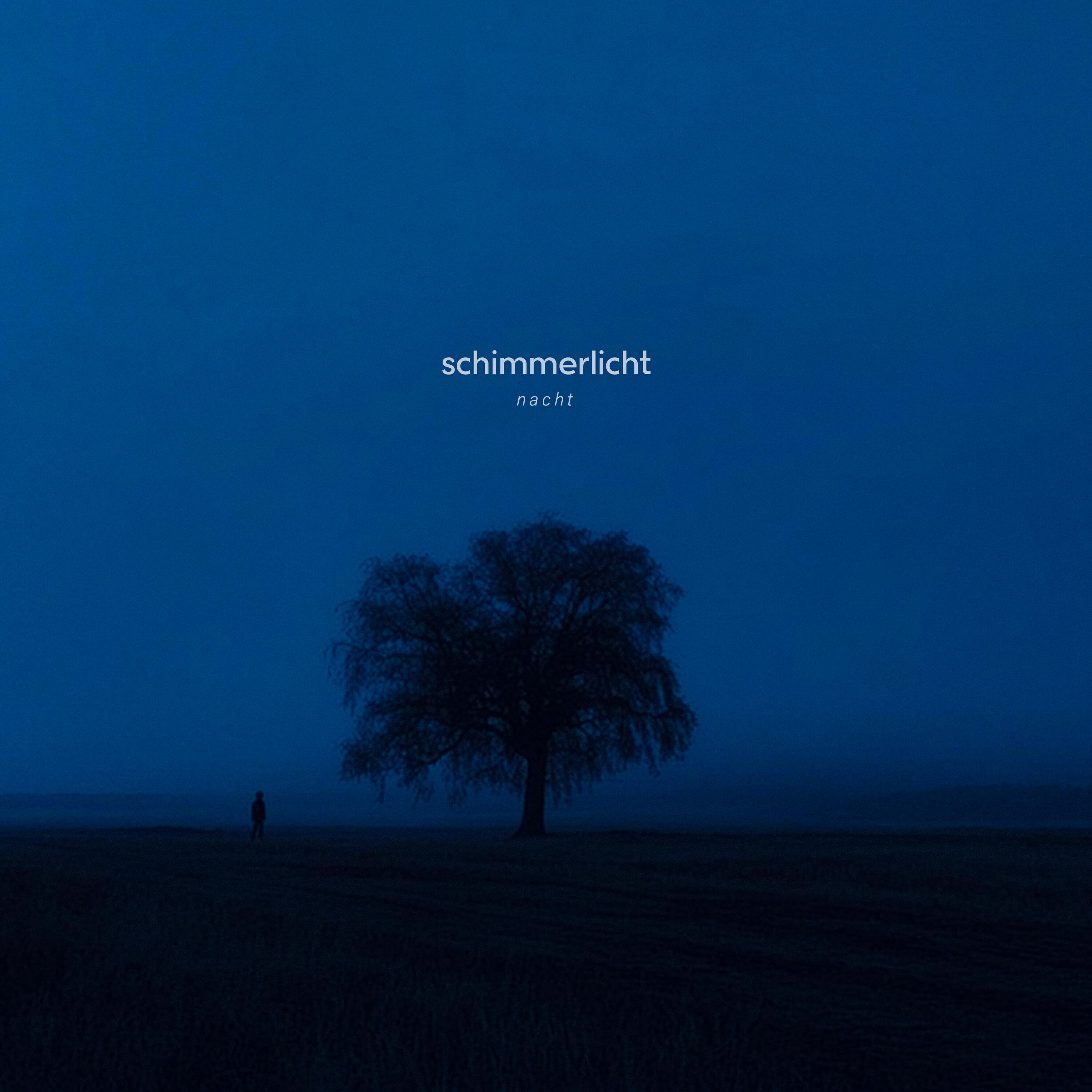 schimmerlicht
