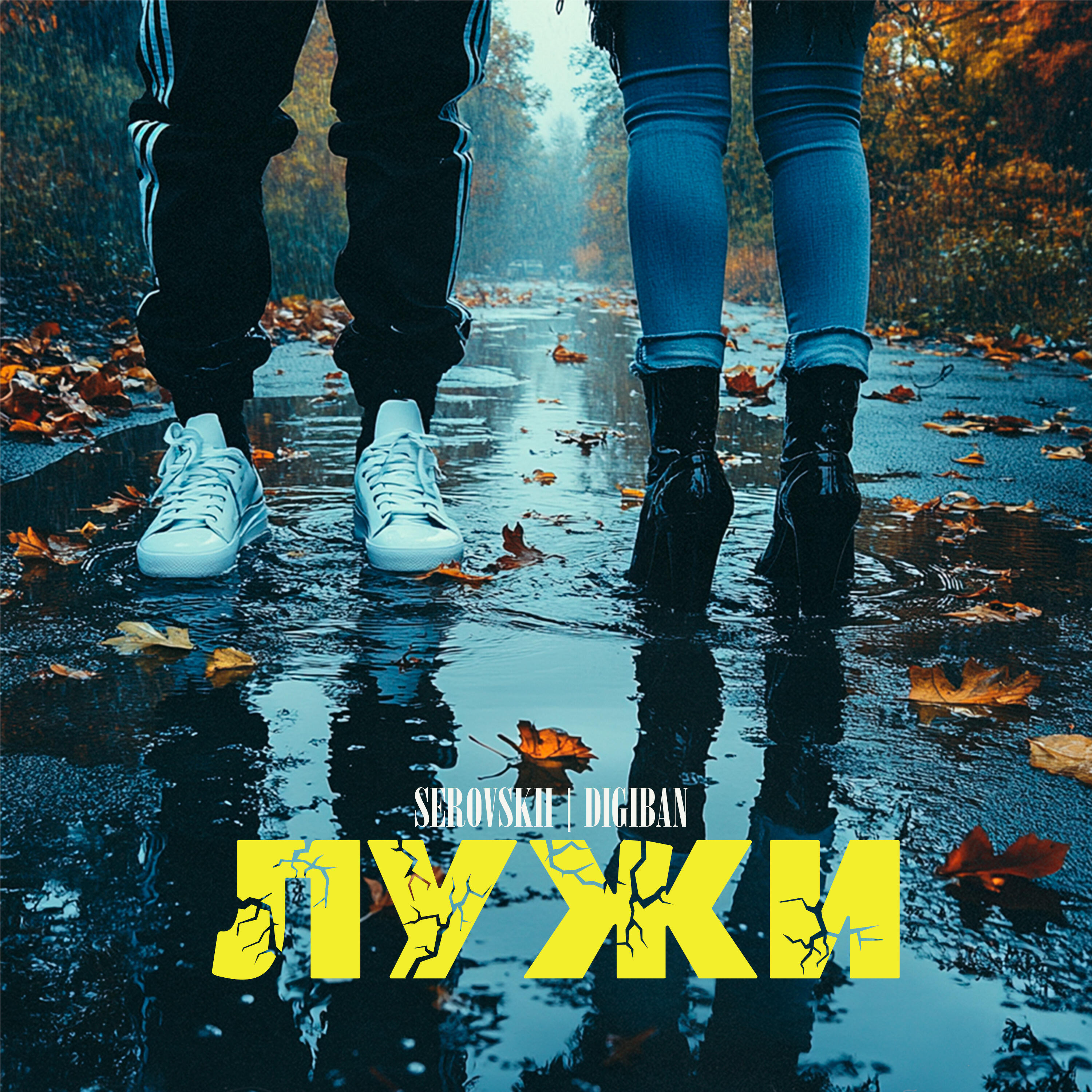 Лужи