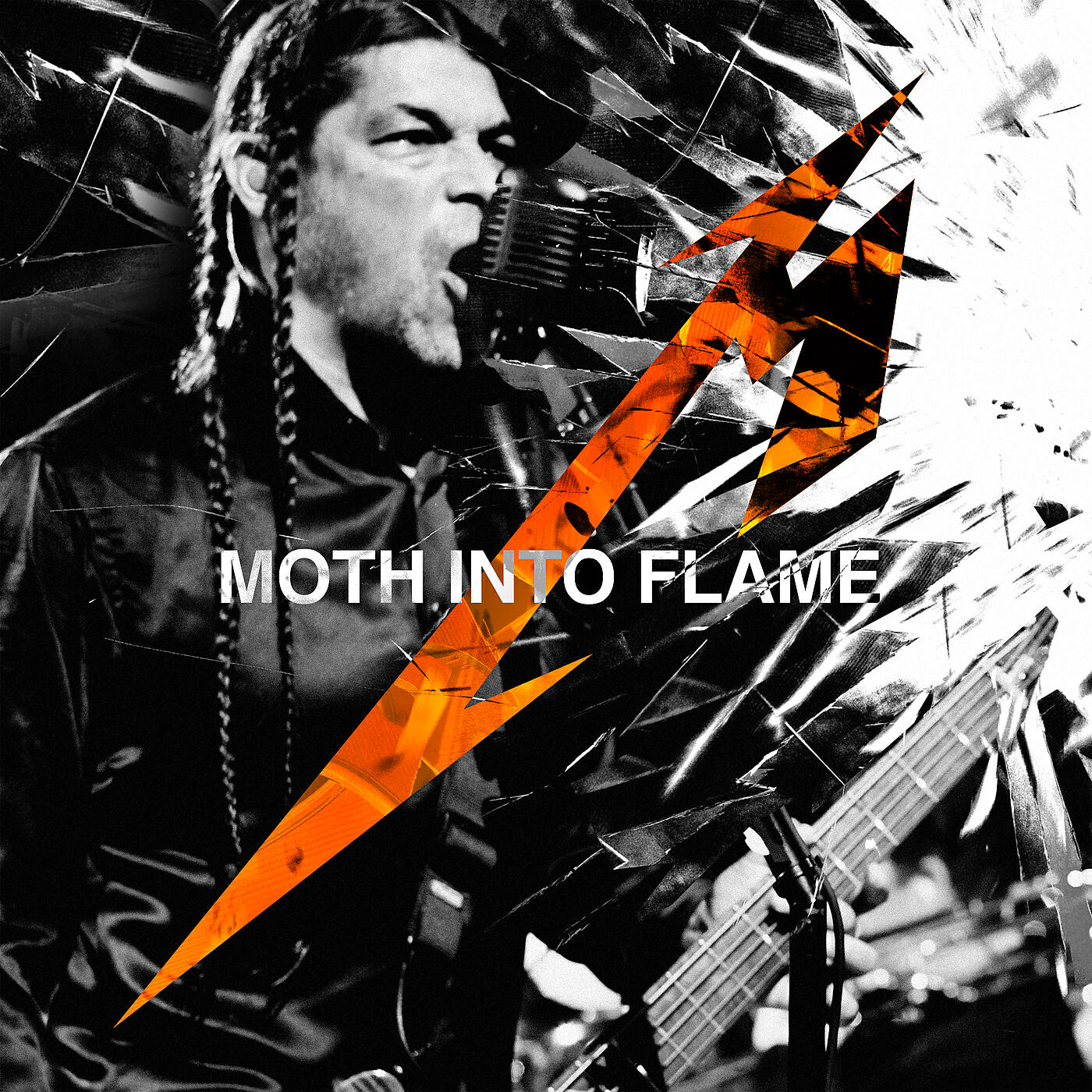Moth Into Flame