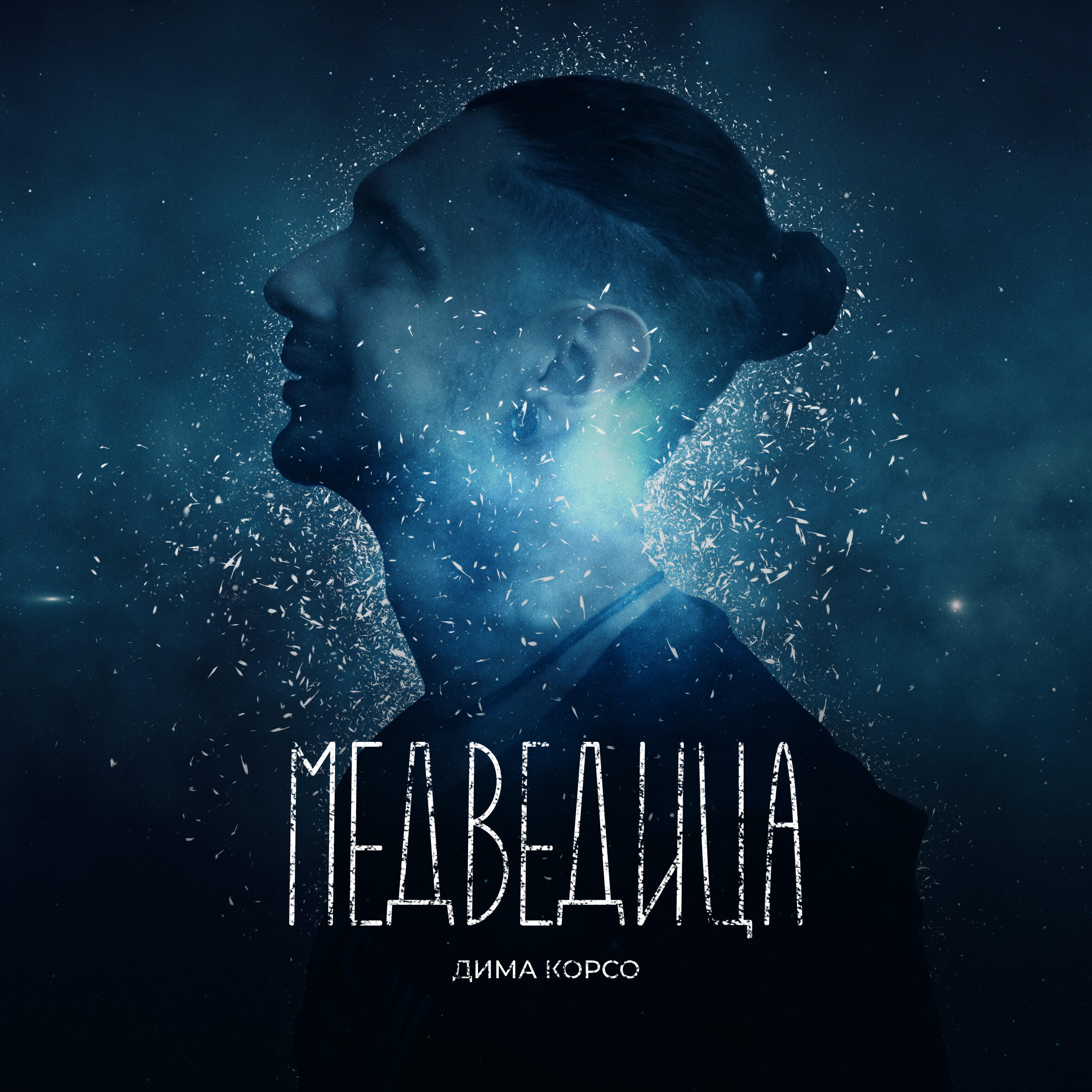 Медведица