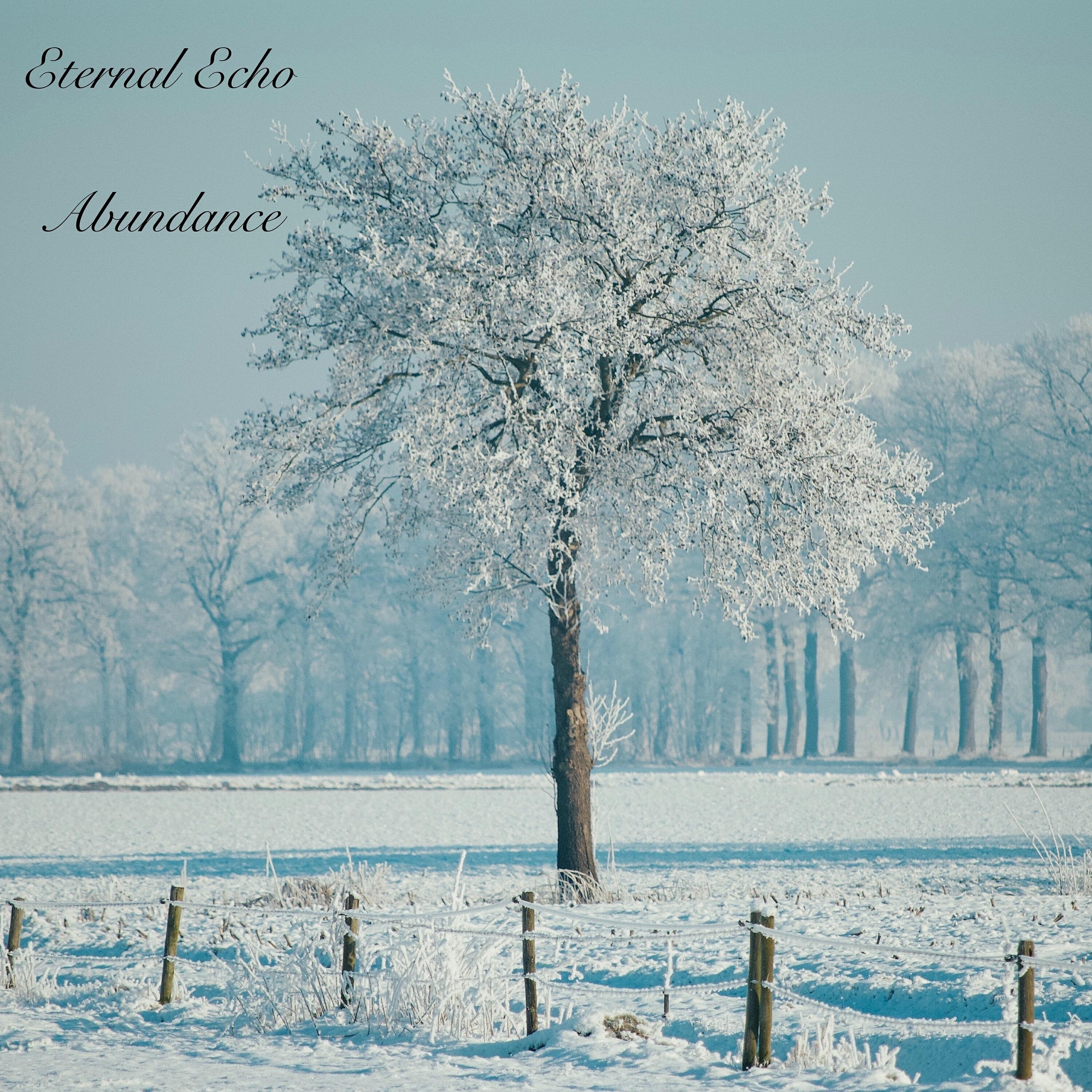 Альбом Abundance исполнителя Eternal Echo