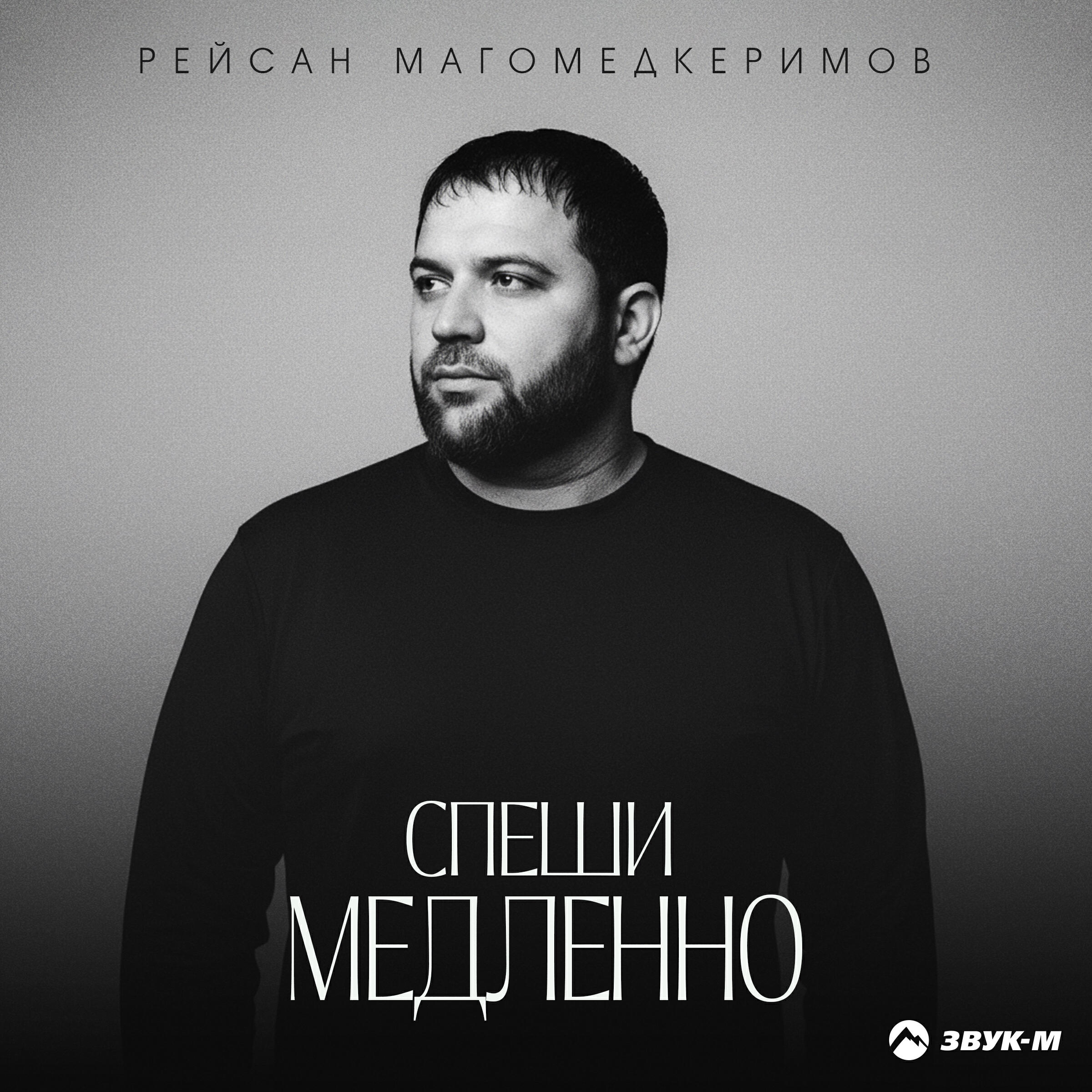 Альбом Спеши медленно исполнителя Рейсан Магомедкеримов