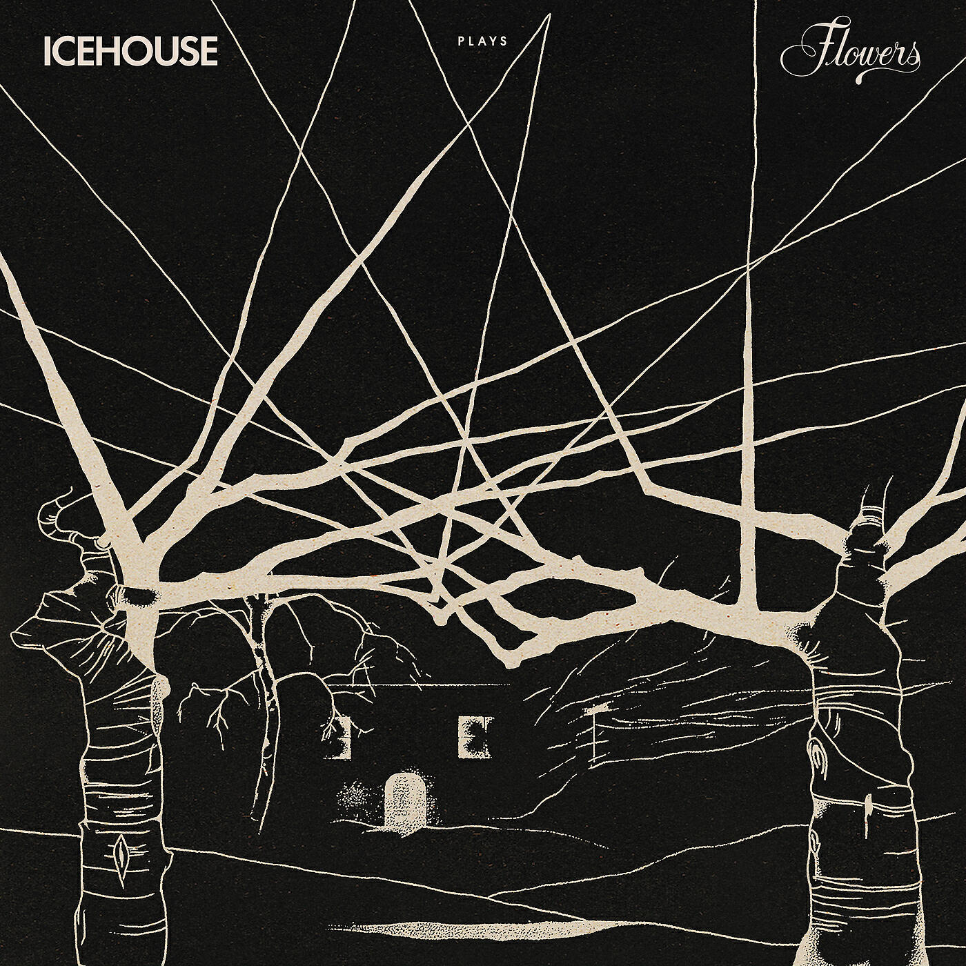 Альбом ICEHOUSE Plays Flowers Live исполнителя Icehouse