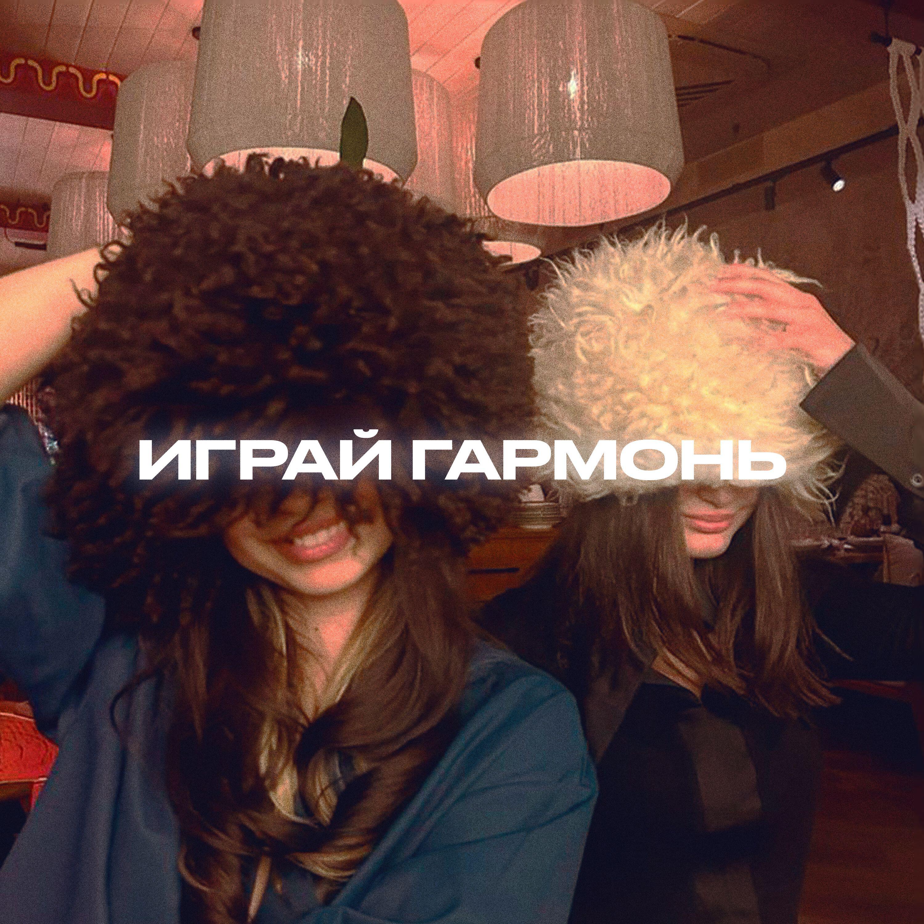 Играй гармонь