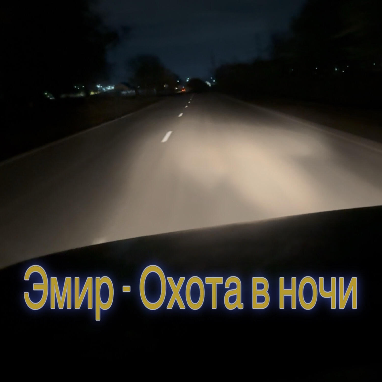 Охота в ночи