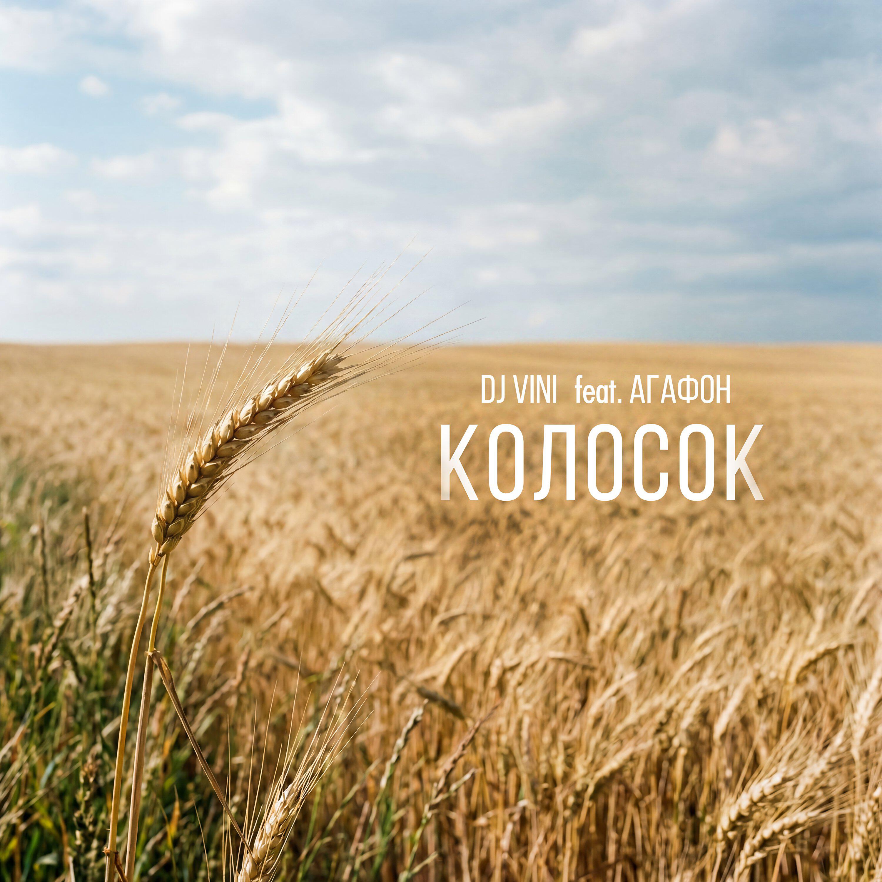 Сингл Колосок исполнителя DJ Vini, Агафон