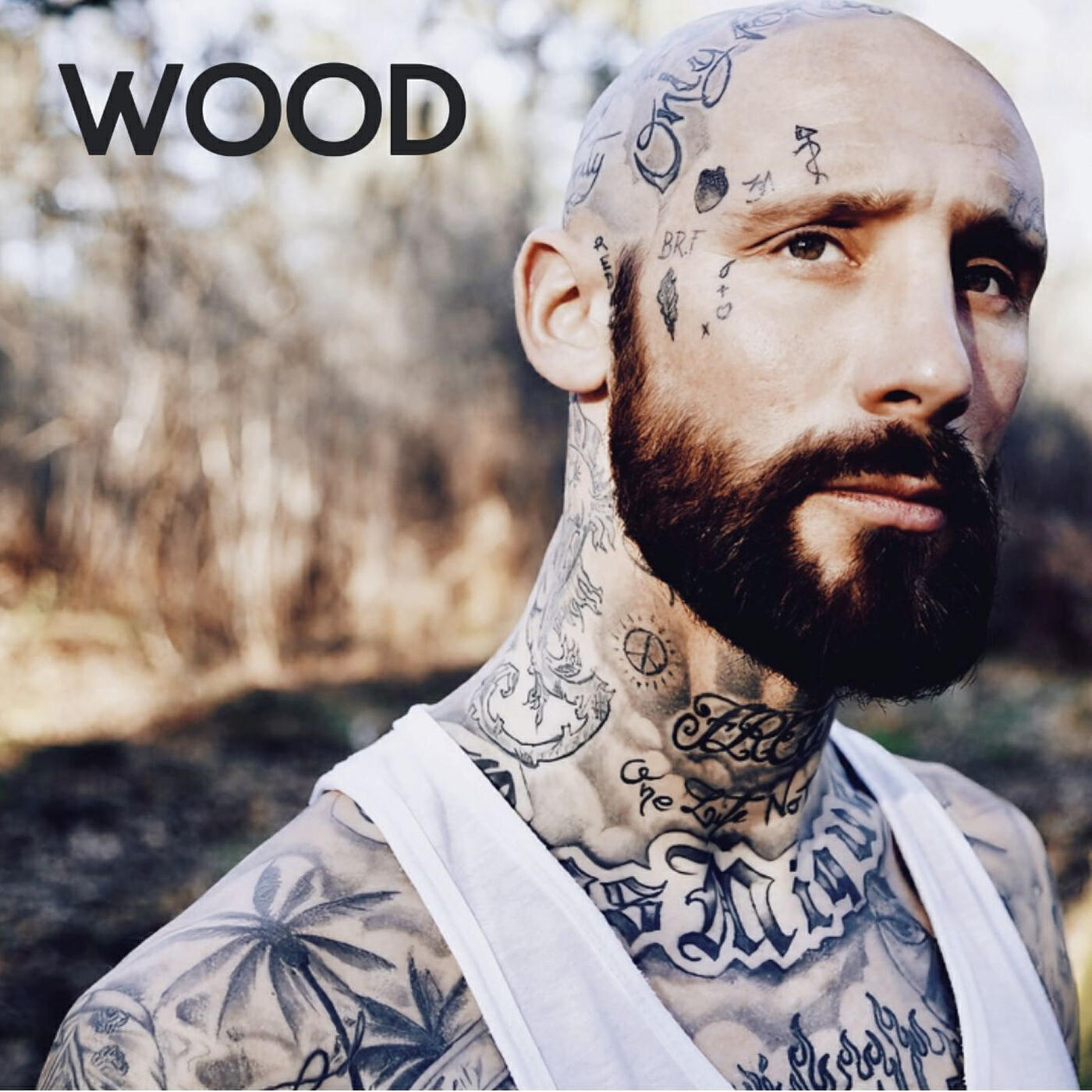 Альбом WOOD исполнителя Billy Joe