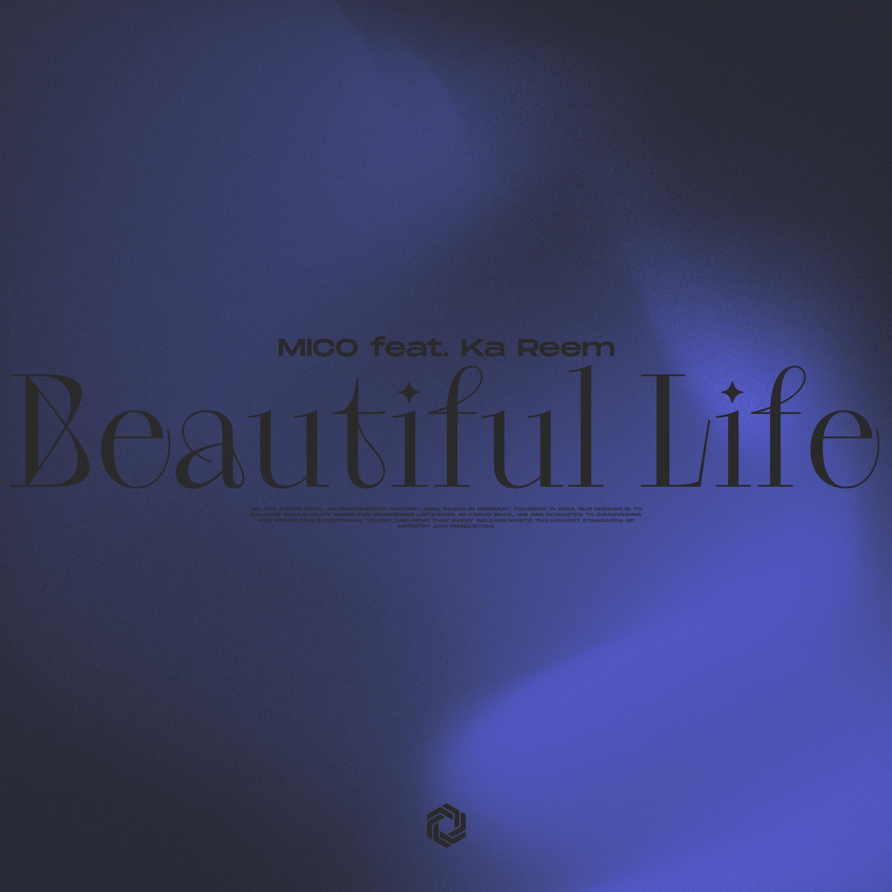 Beautiful Life (Techno Mix)