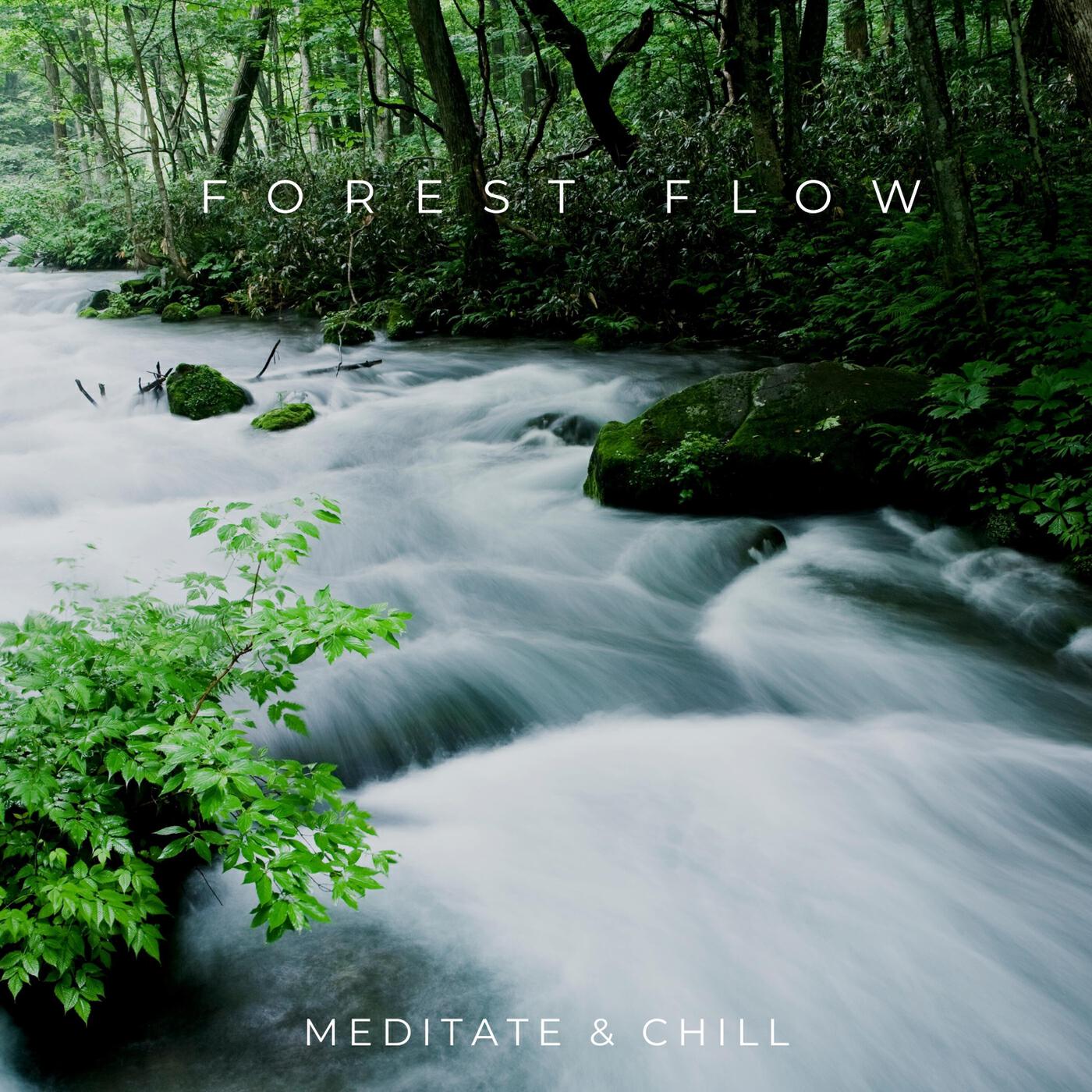 Forest Flow