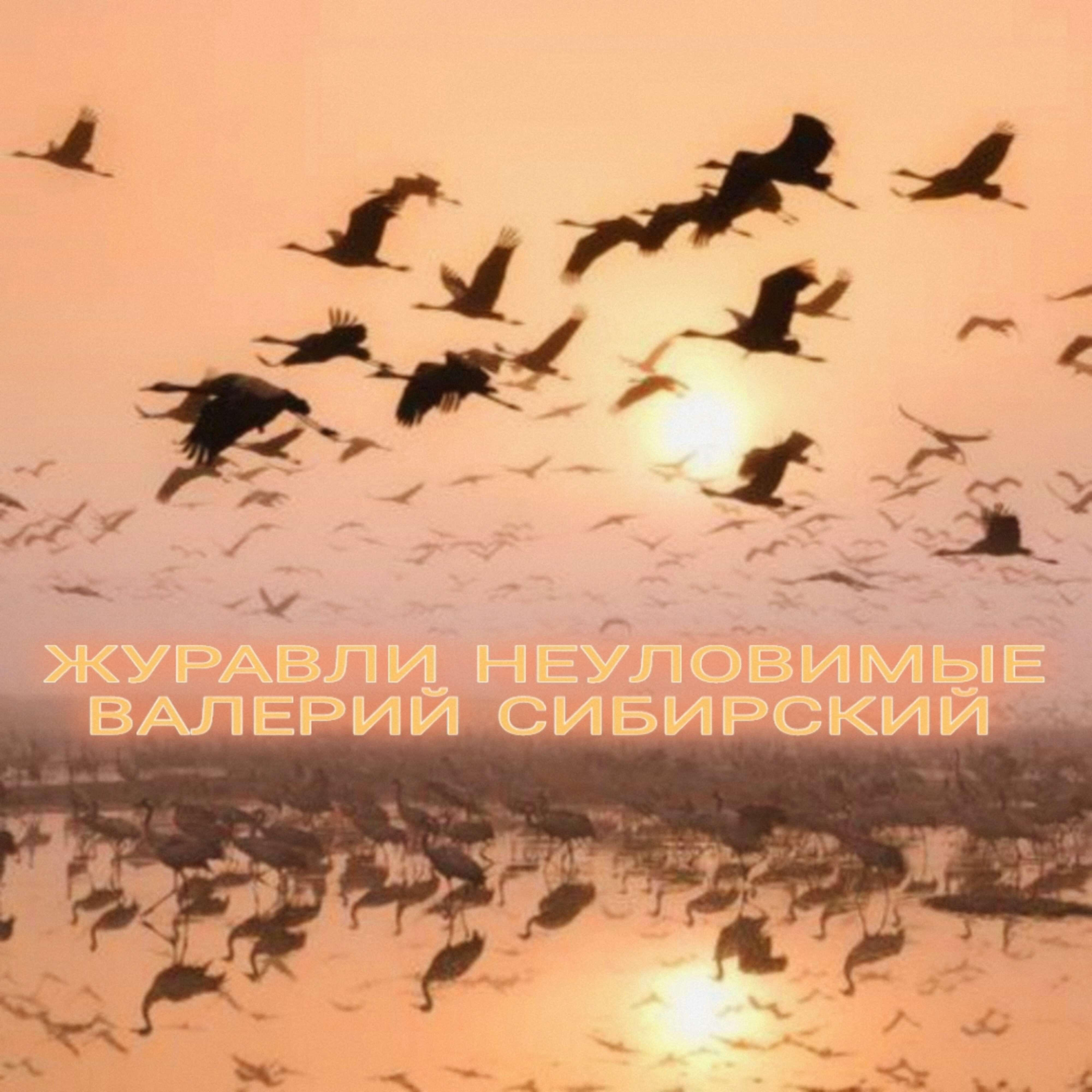 Журавли неуловимые