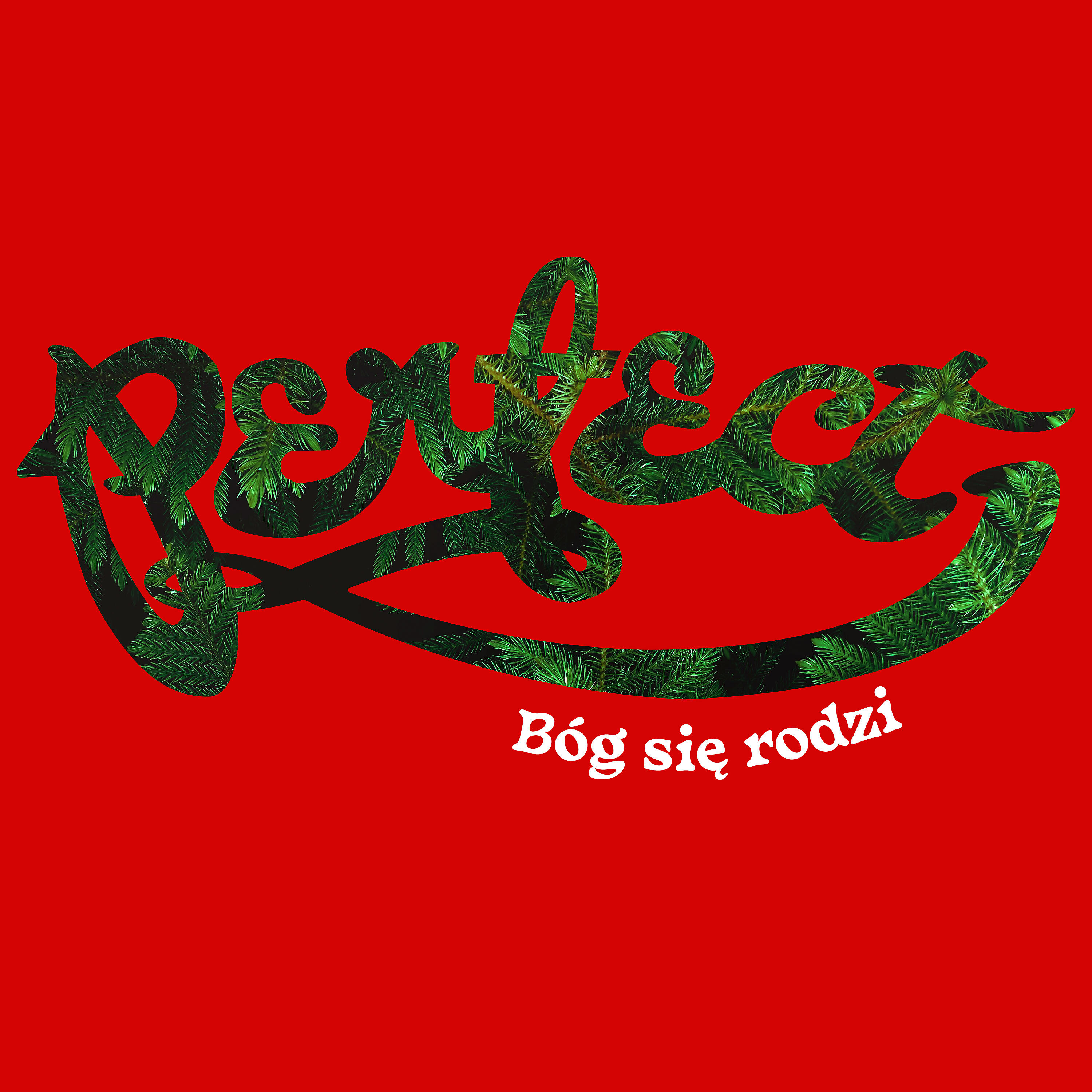 Bóg się rodzi
