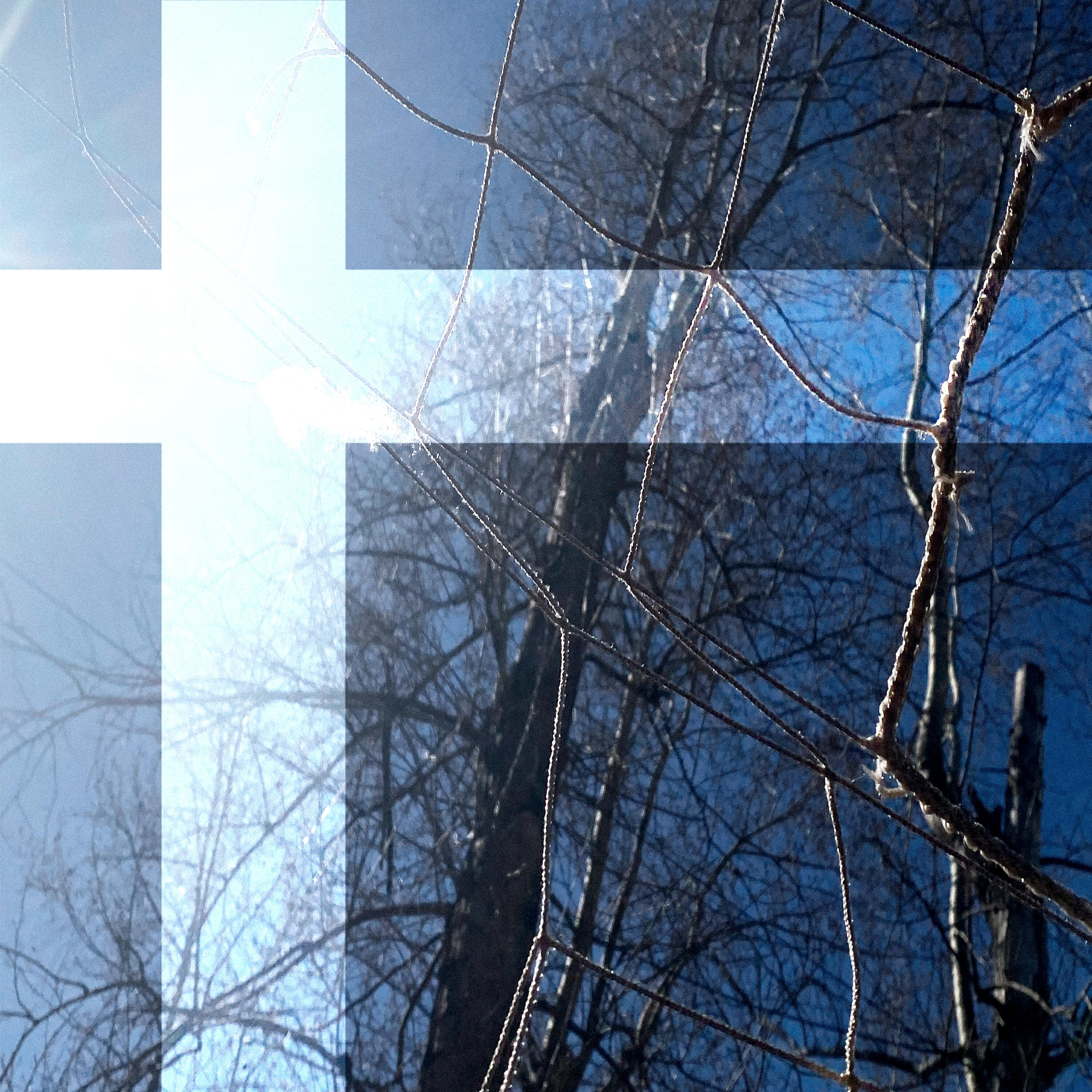 Похожим