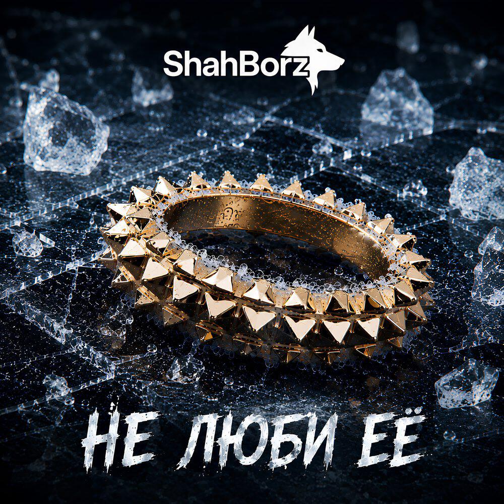 ShahBorz - Не люби её