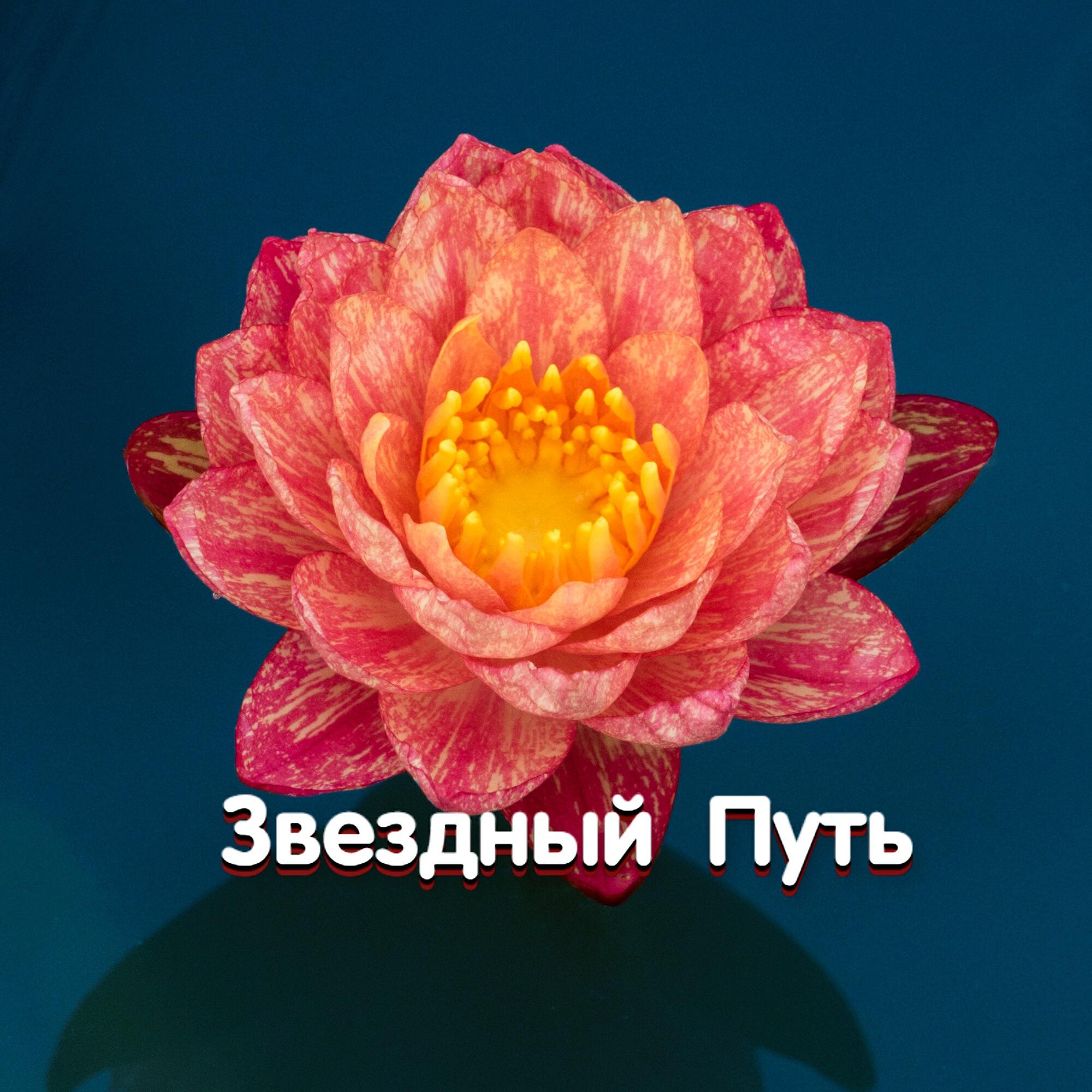 ЗВЕЗДНЫЙ ПУТЬ