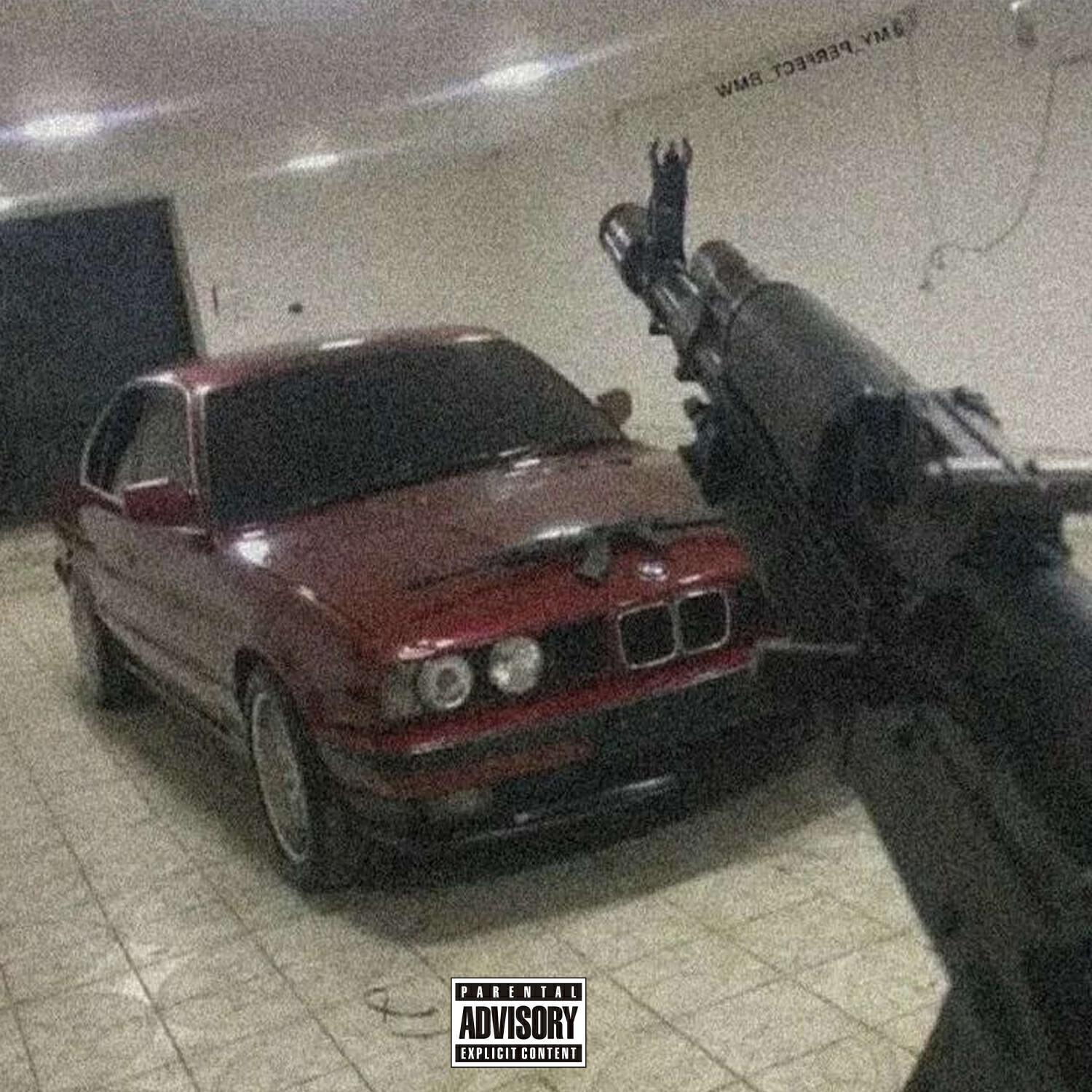 SMXKYDOG