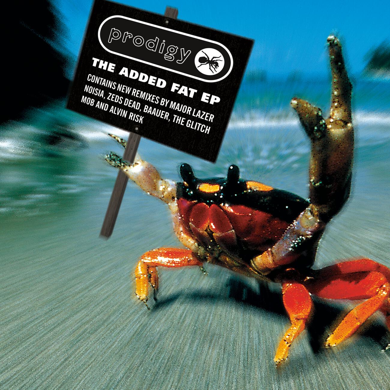 The Prodigy - Firestarter