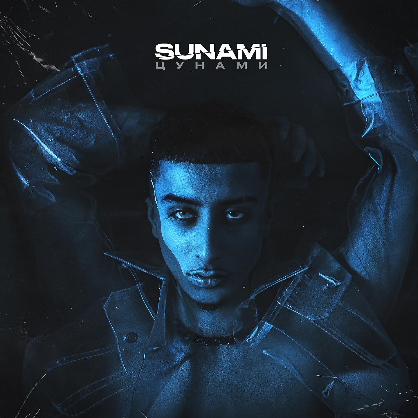 Альбом Цунами исполнителя Sunami