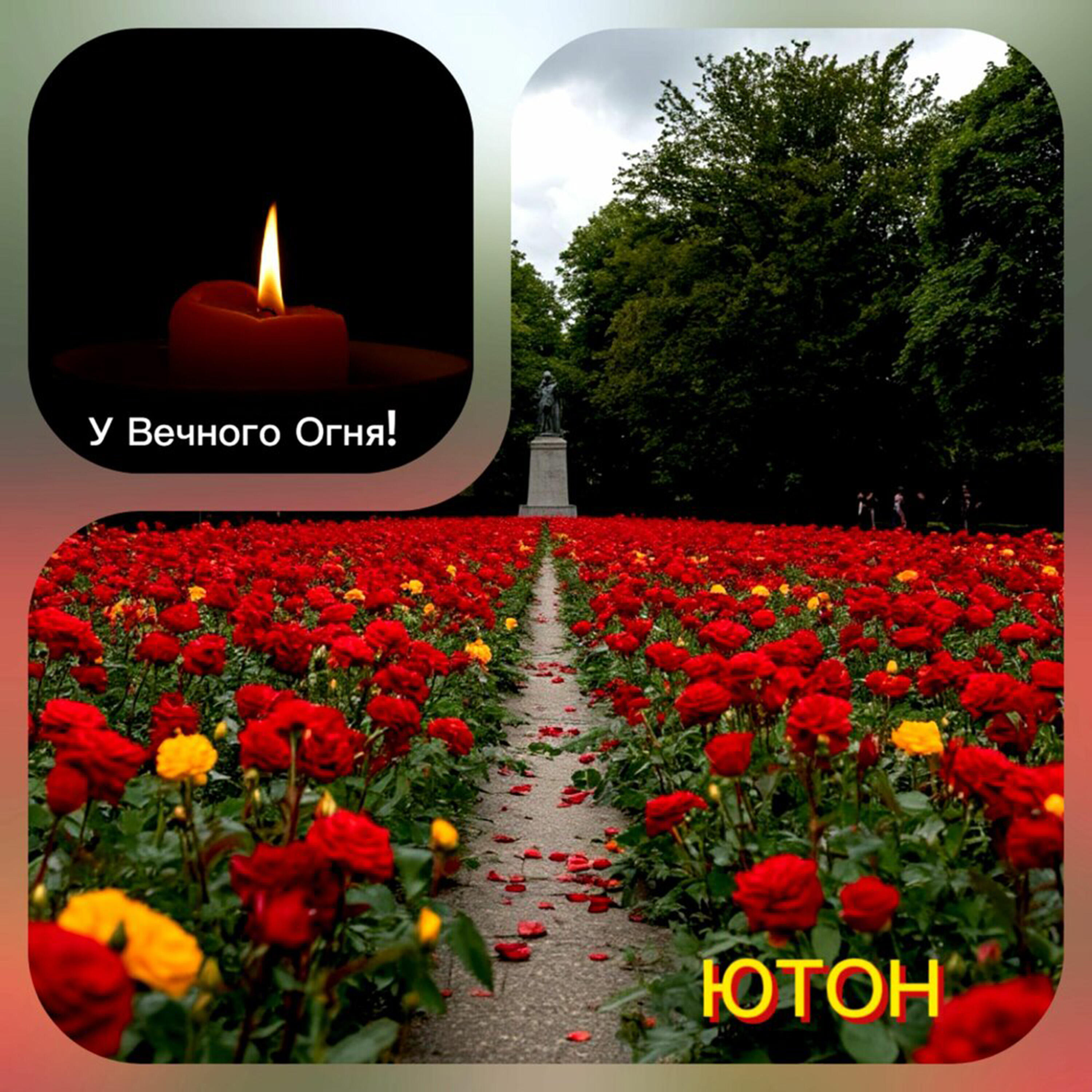 У вечного огня