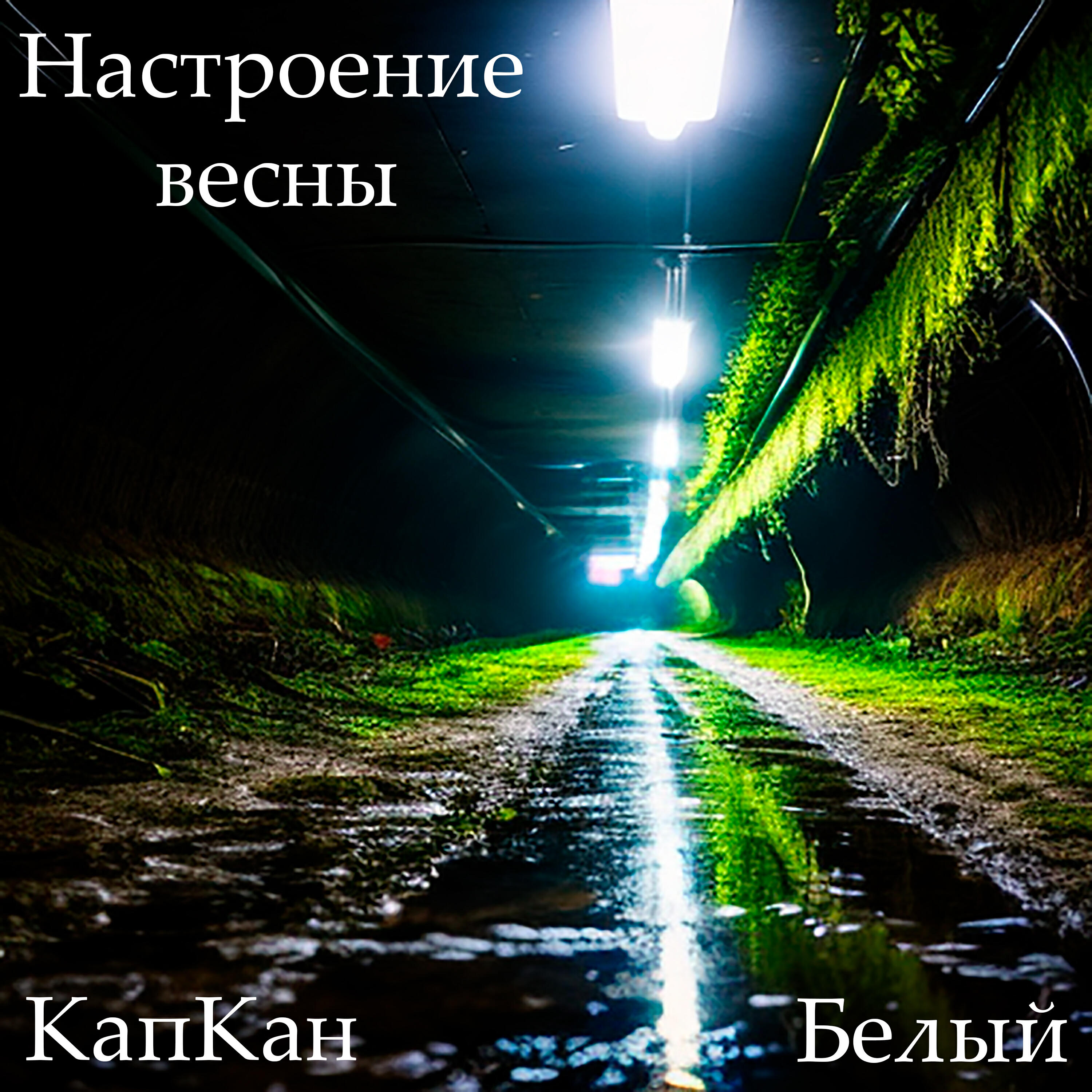 Альбом Настроение весны исполнителя Белый, КапКан