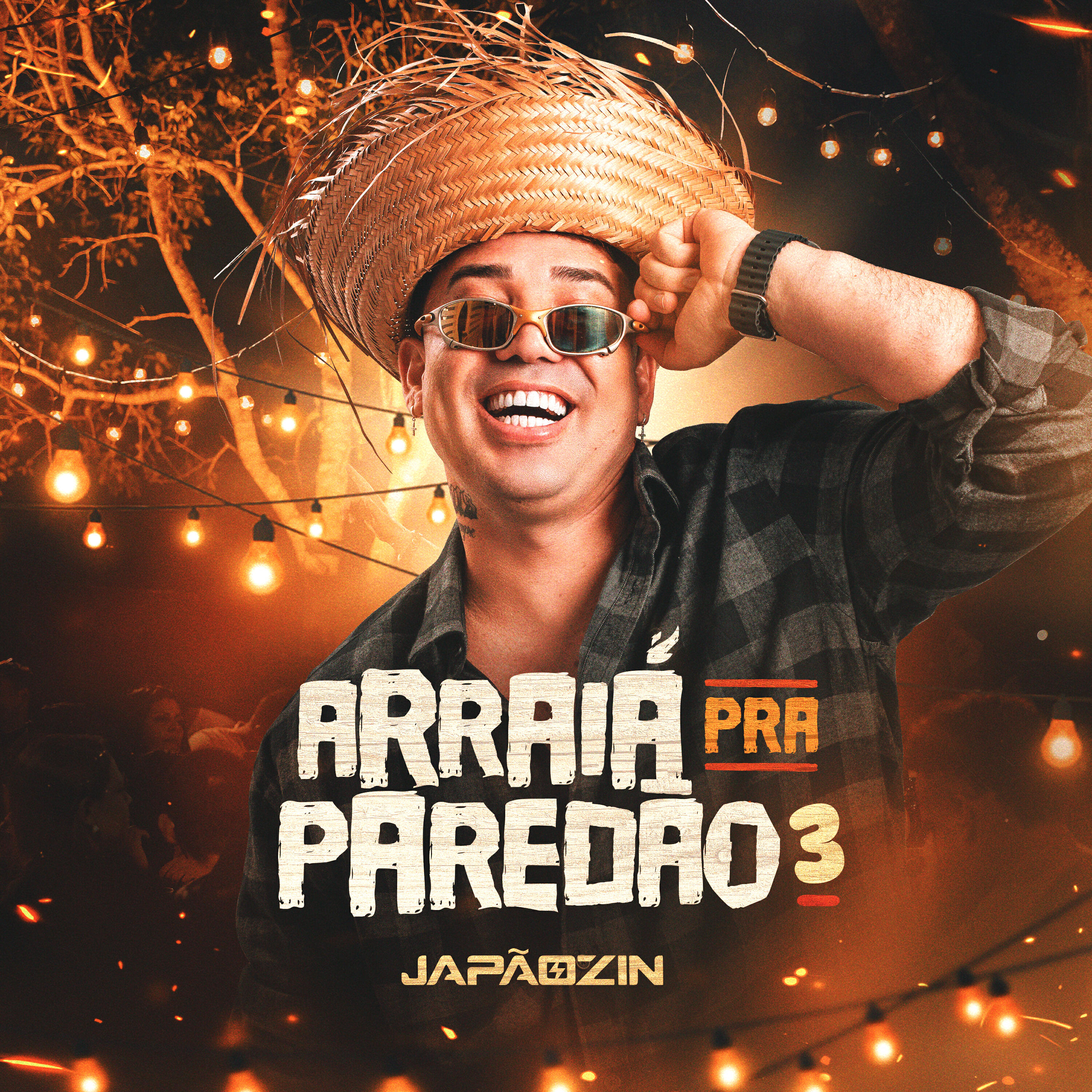 Arraiá Pra Paredão 3