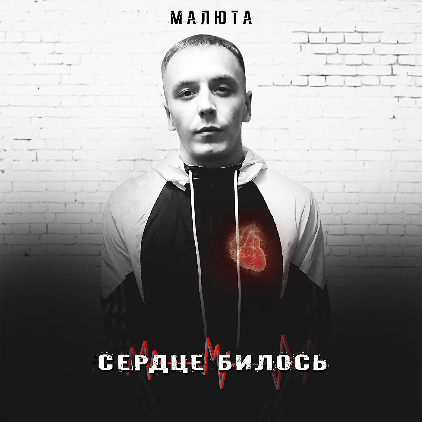 СЕРДЦЕ БИЛОСЬ