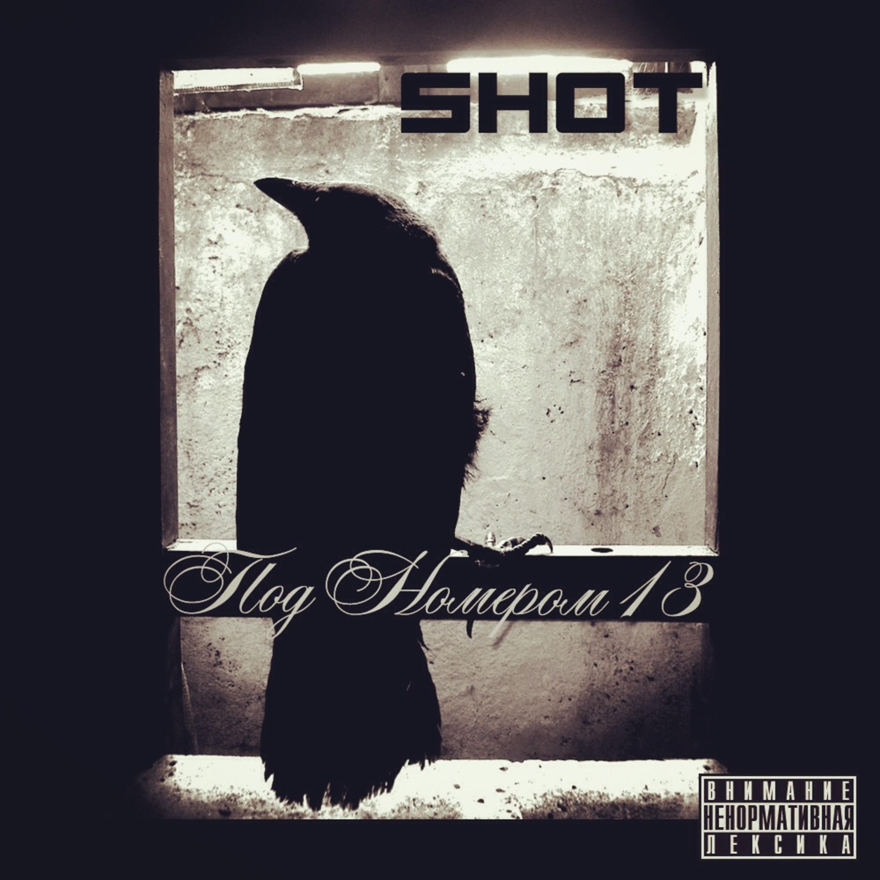 Shot - Реквием 13
