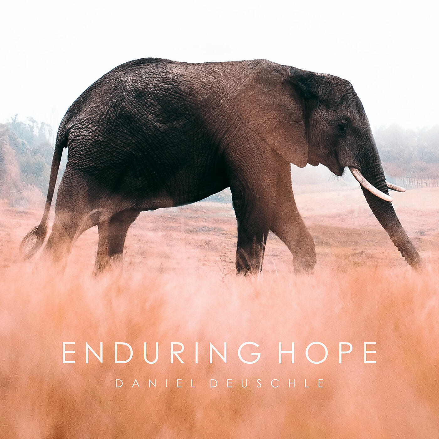Альбом Enduring Hope исполнителя Daniel Deuschle