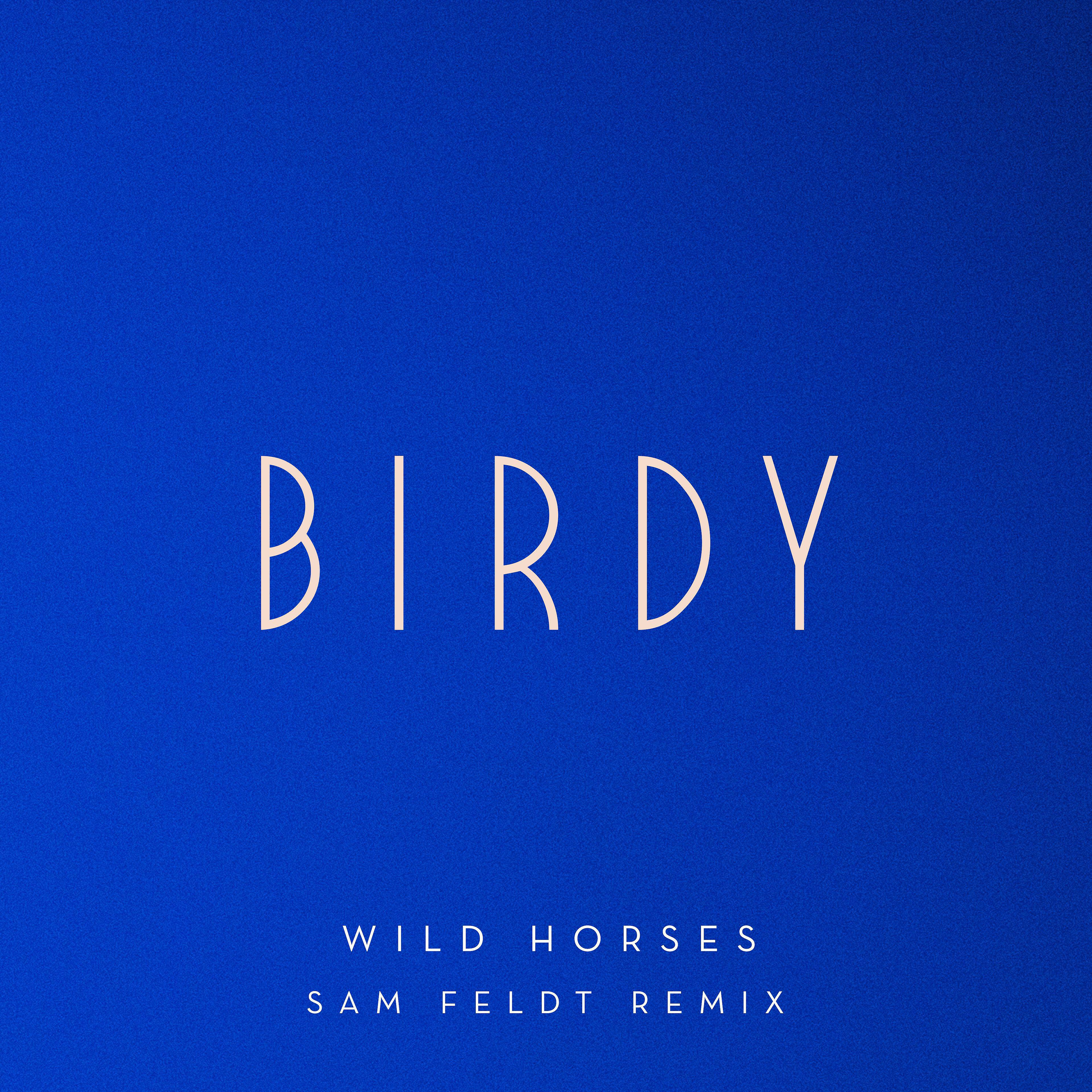 Альбом Wild Horses (Sam Feldt Remix) исполнителя Birdy