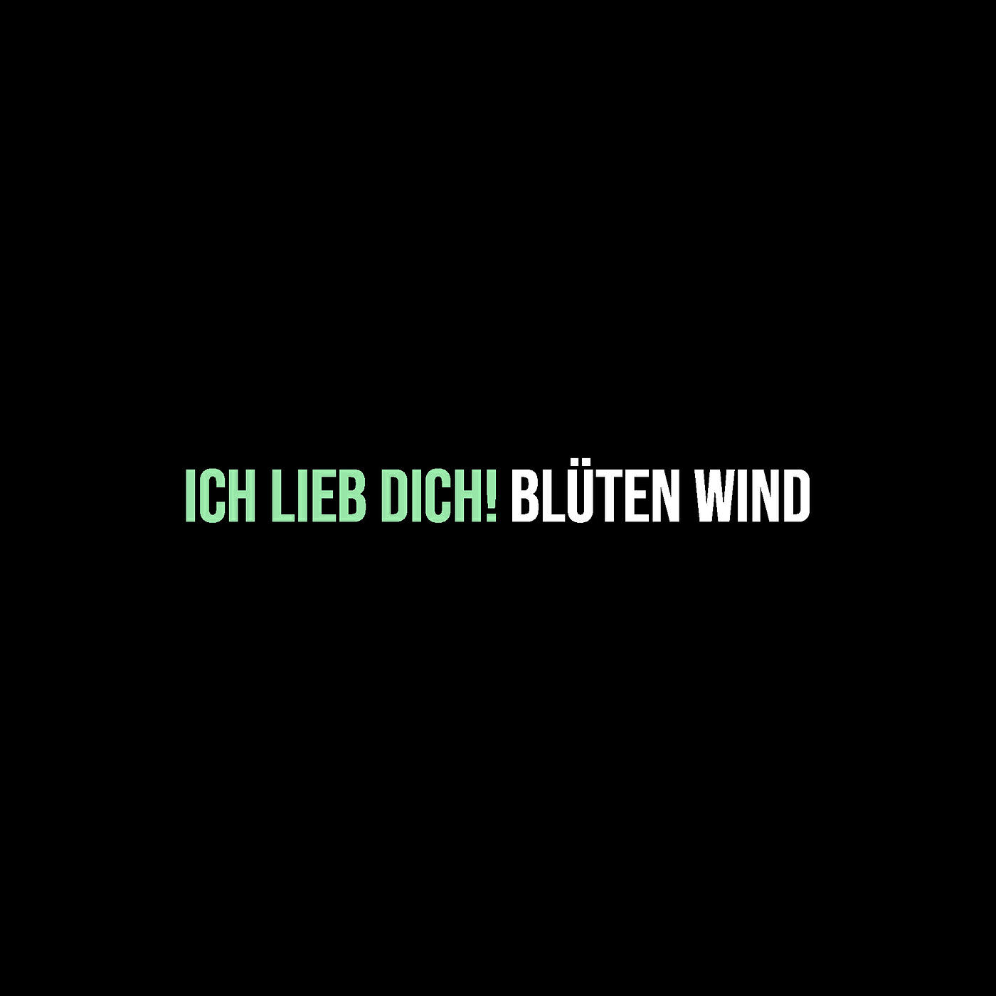 Ich Lieb Dich! (Cover)