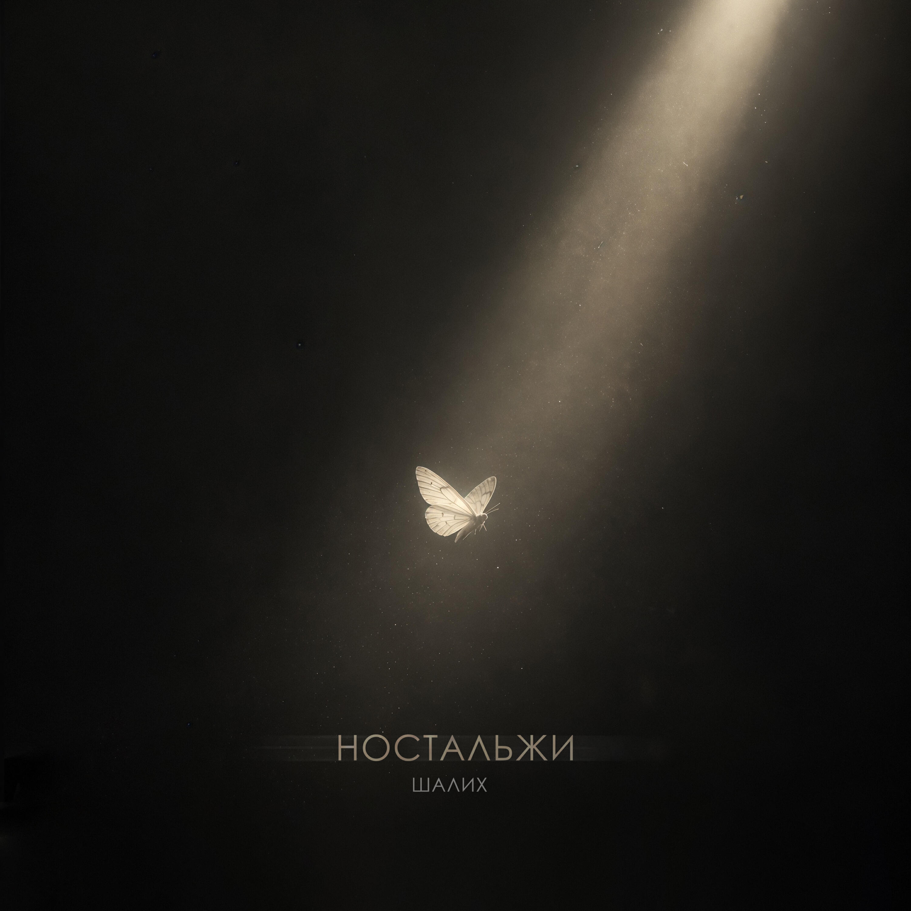 Альбом Ностальжи исполнителя Шалих